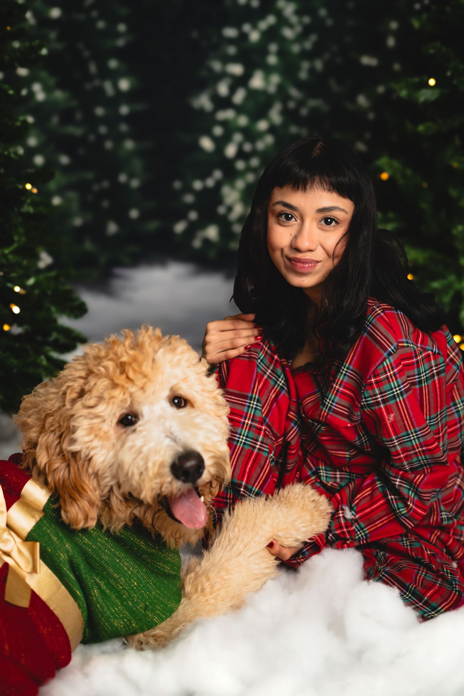 Fluffy goldendoodle dog poses with someone wearing plaid flannel for Christmas photos with twinkling lights.