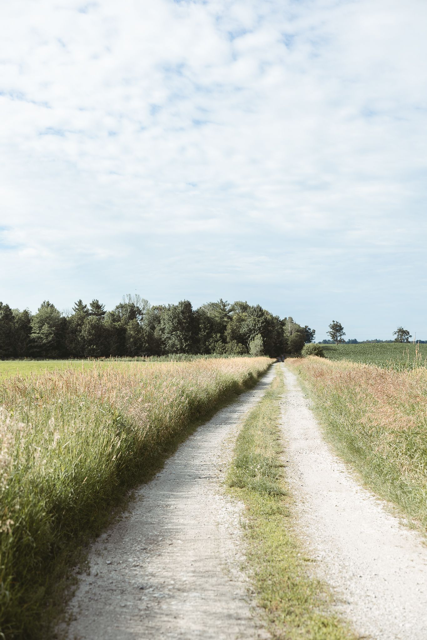 Sentier de gravier bordé de hautes herbes sous un ciel nuageux, avec des arbres à l’horizon pour une ambiance douce et naturelle.