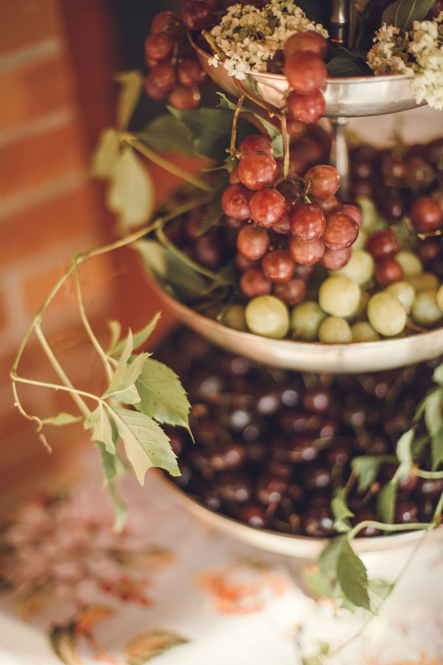 Fresh red and green grapes with vine leaves arranged in an artistic still life composition.