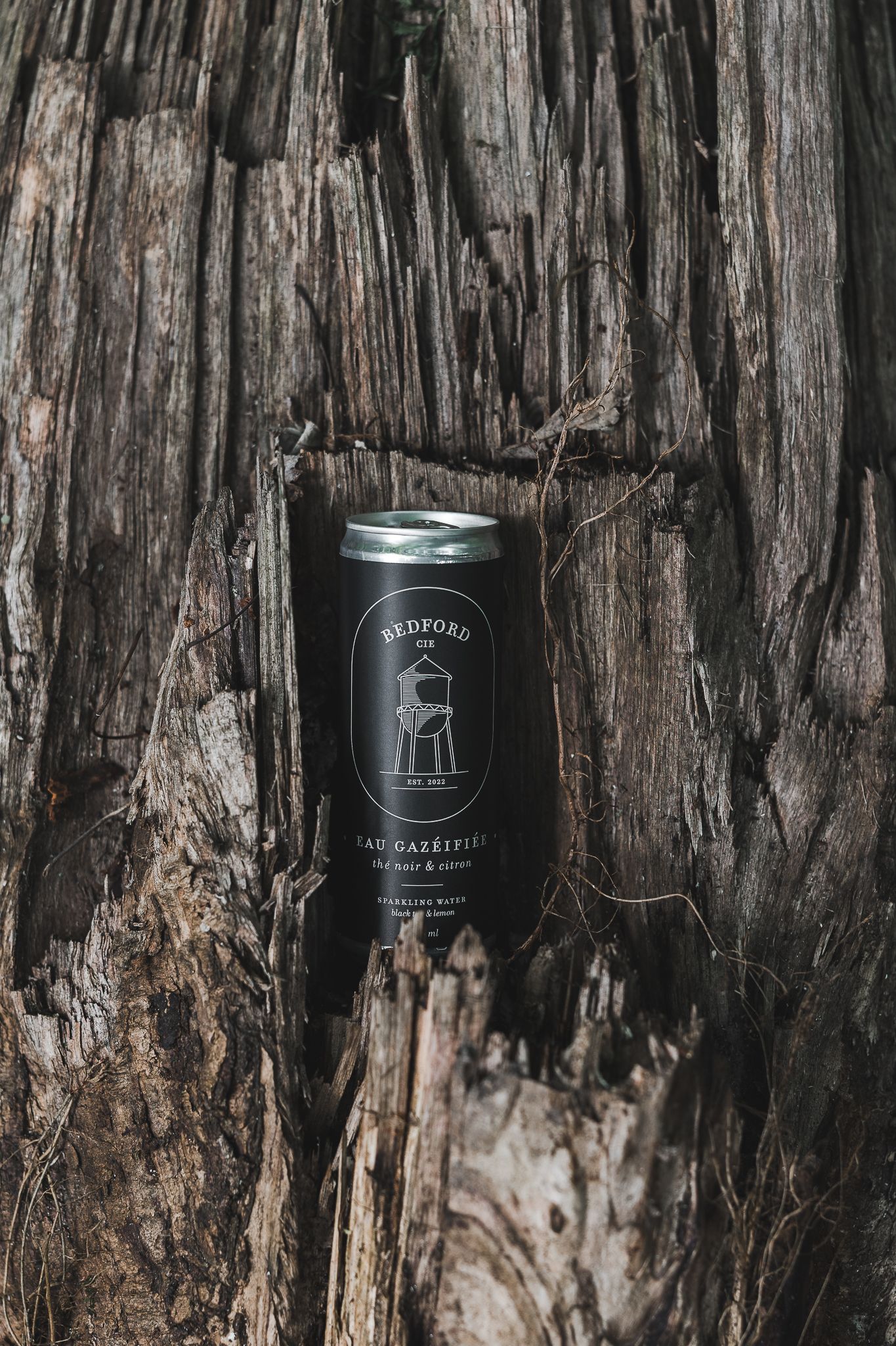 Photographie entreprise Canette eau pétillante au thé noir et citron dans un tronc d'arbres en fôret en Estrie. Photographie de produits.