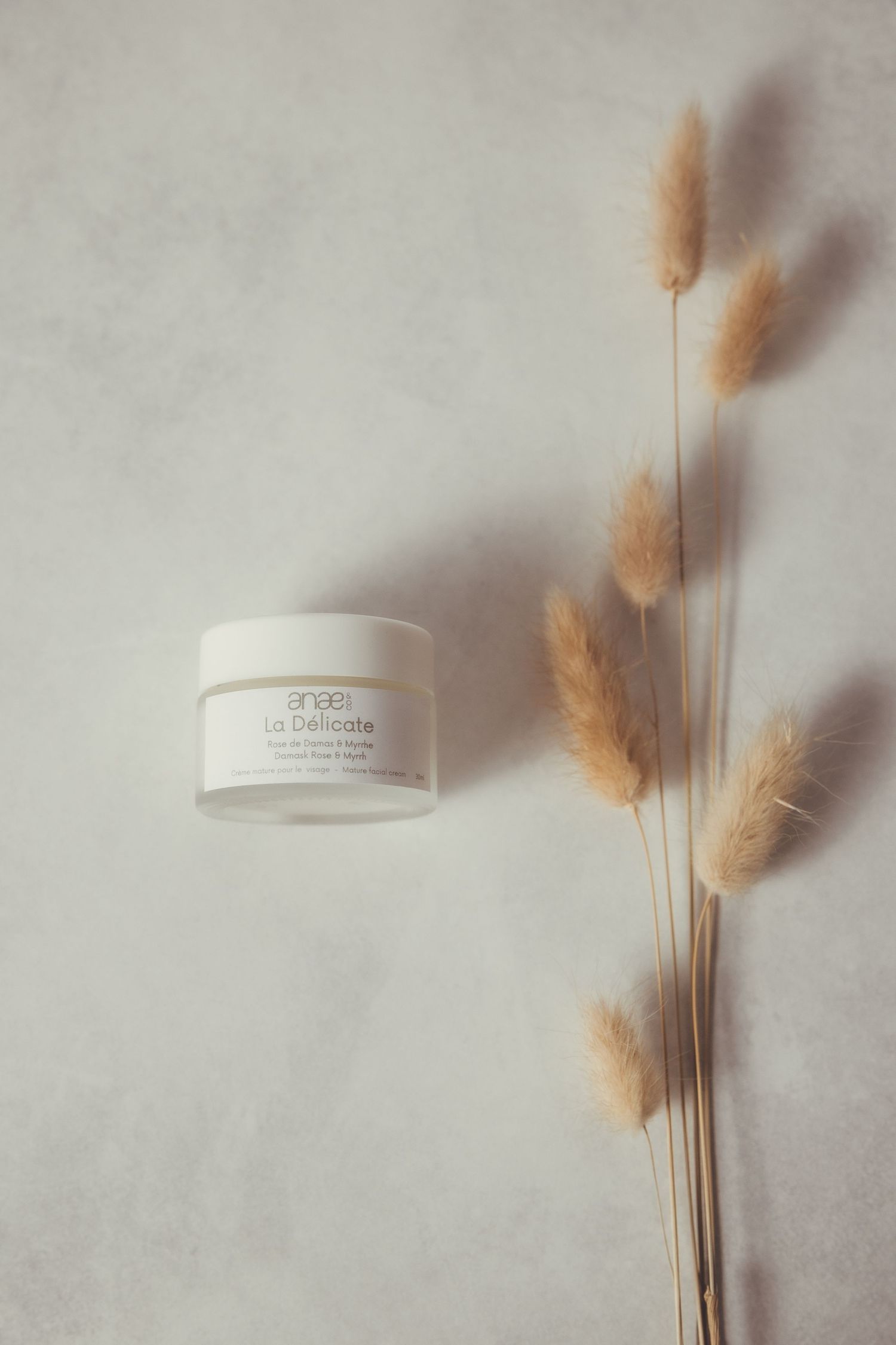 White cosmetic jar with dried pampas grass against textured gray background.