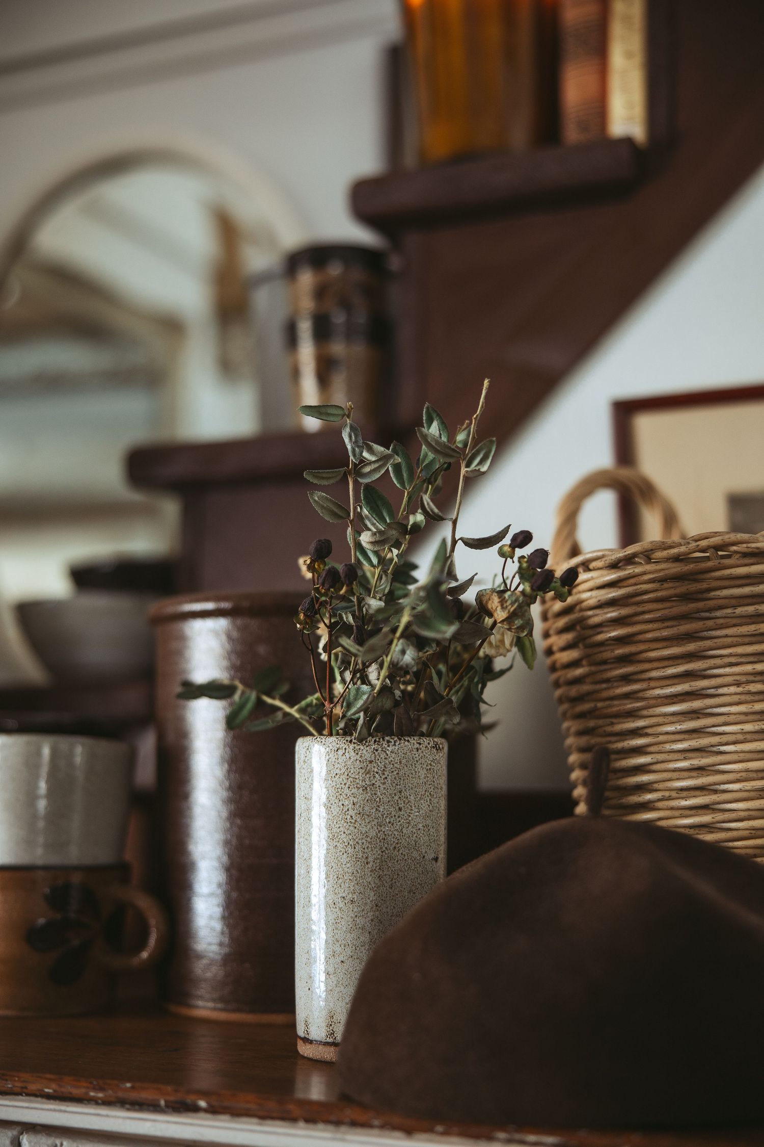 Small green potted plant sits on wooden surface with rustic decor and woven baskets in soft natural lighting.