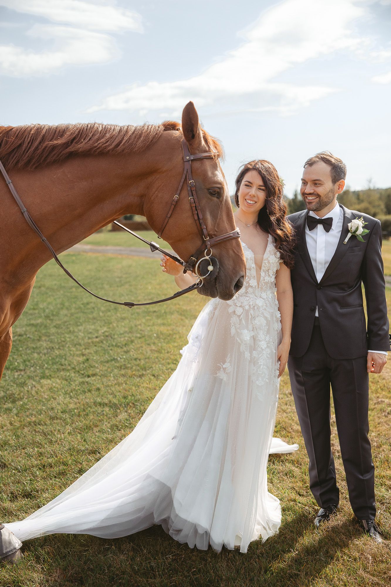 Couple en tenue de mariage posant avec un cheval alezan dans un champ ensoleillé, en Estrie