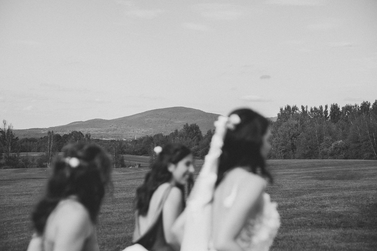 Cortège de mariage posant ensemble en noir et blanc devant un décor montagneux