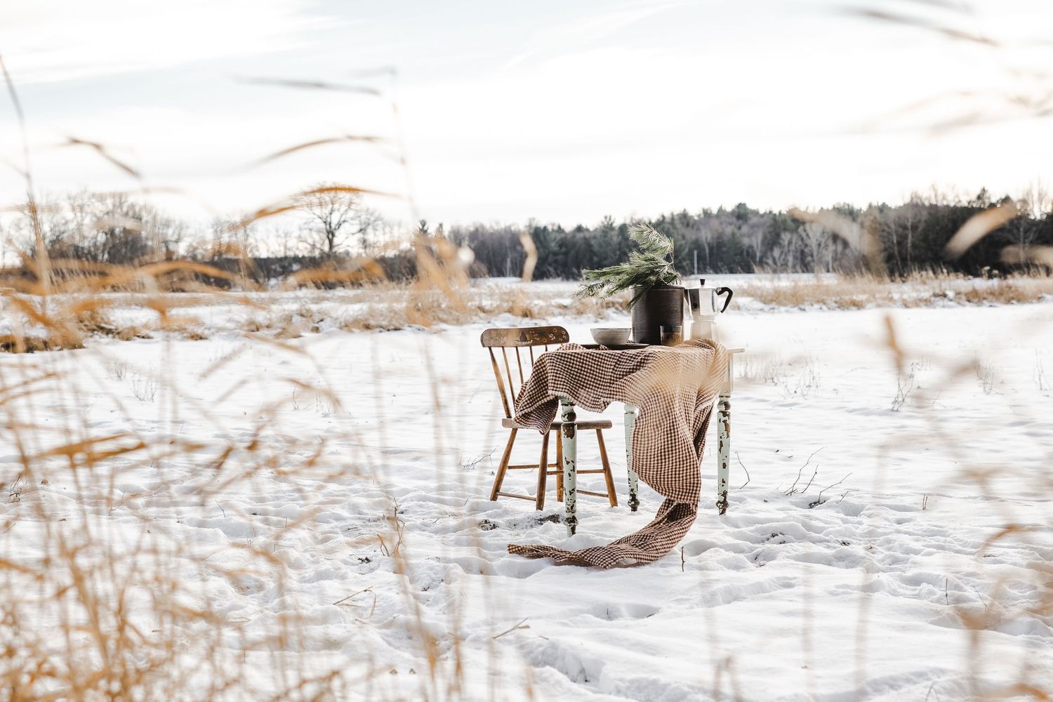 A snowy winter scene with a wooden chair and dried grass poking through the white landscape.
