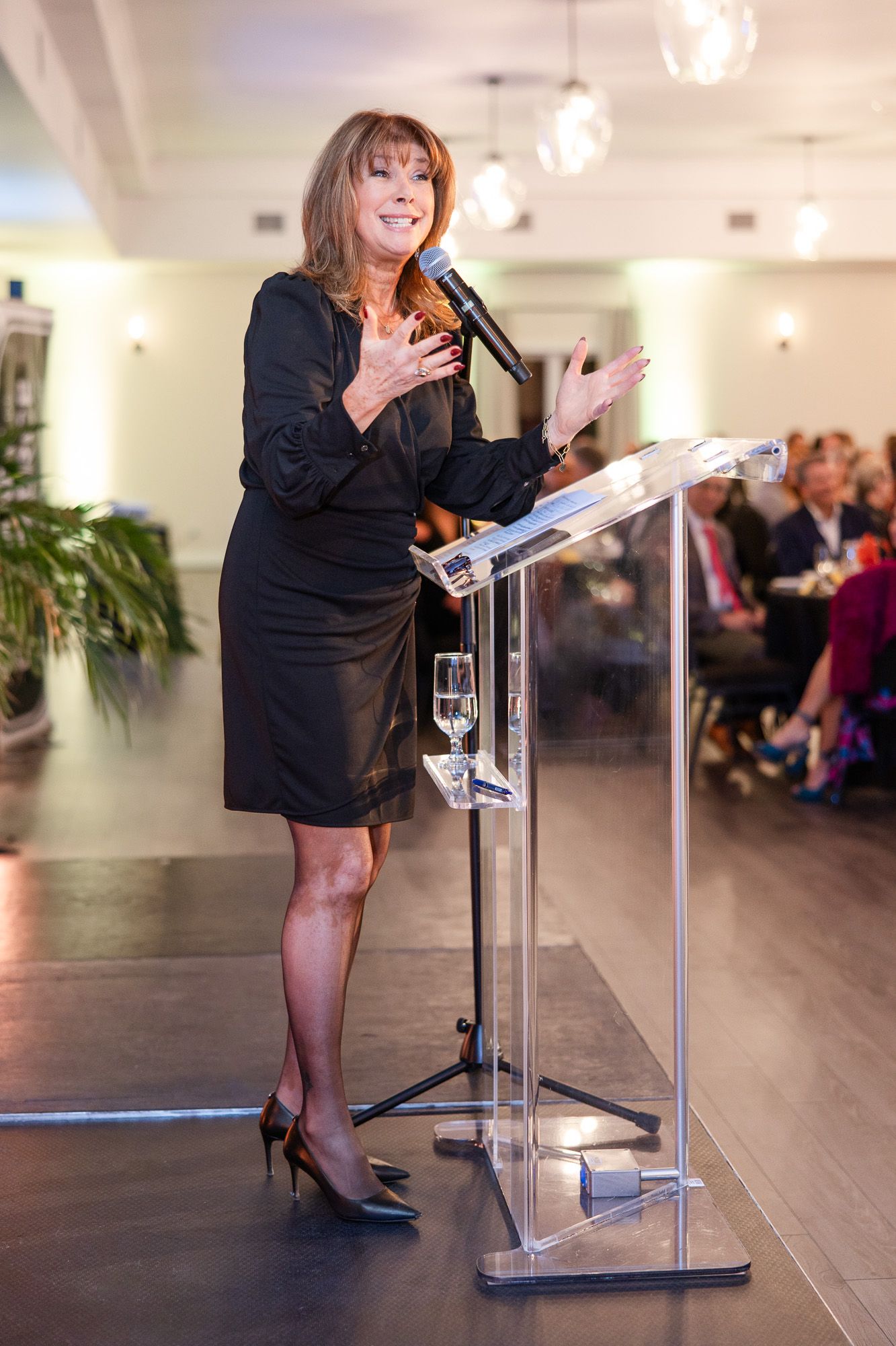 A speaker stands at a clear acrylic podium delivering remarks during an indoor event.