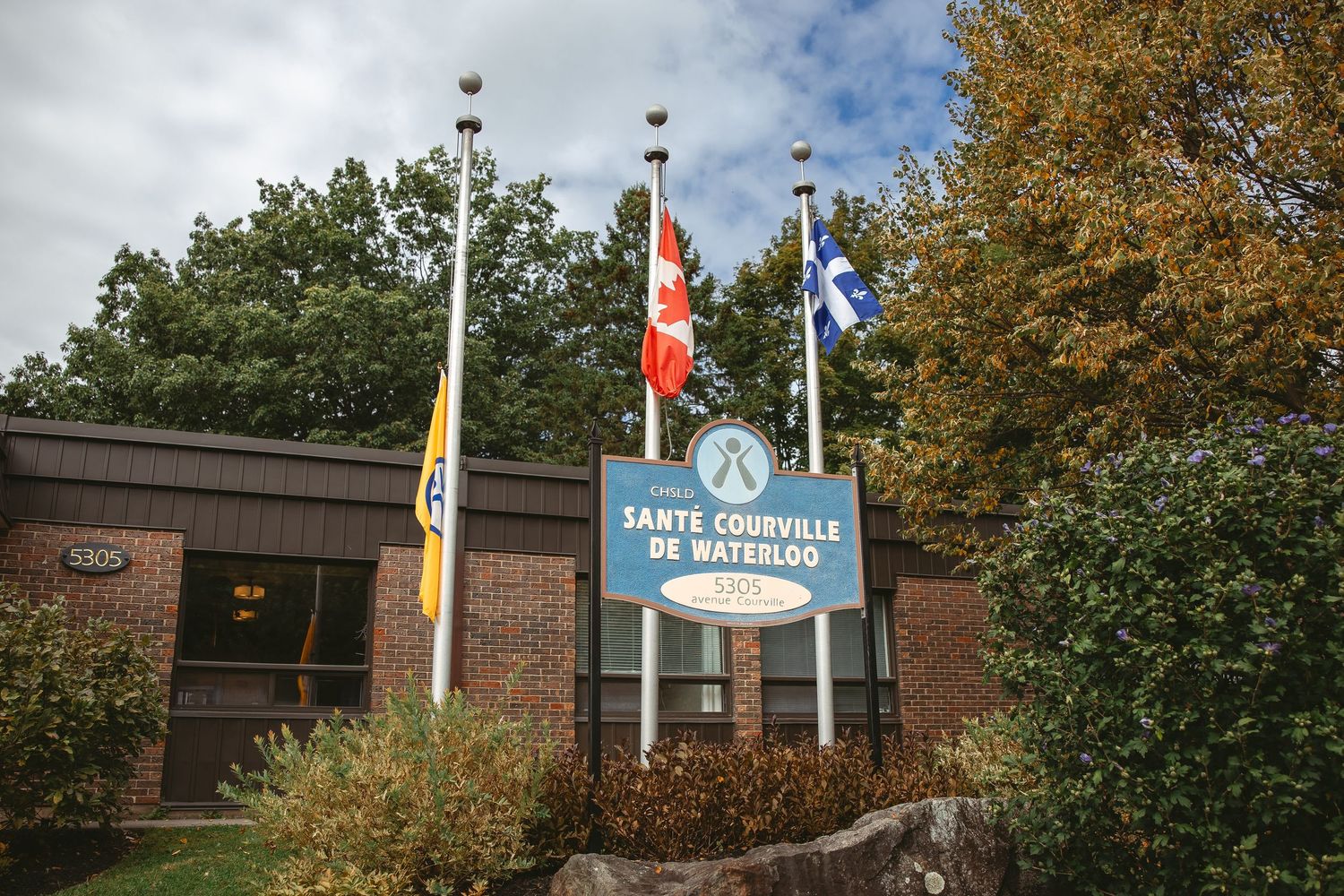 A row of international flags wave in front of a brick building on an autumn day with golden-leaved trees.