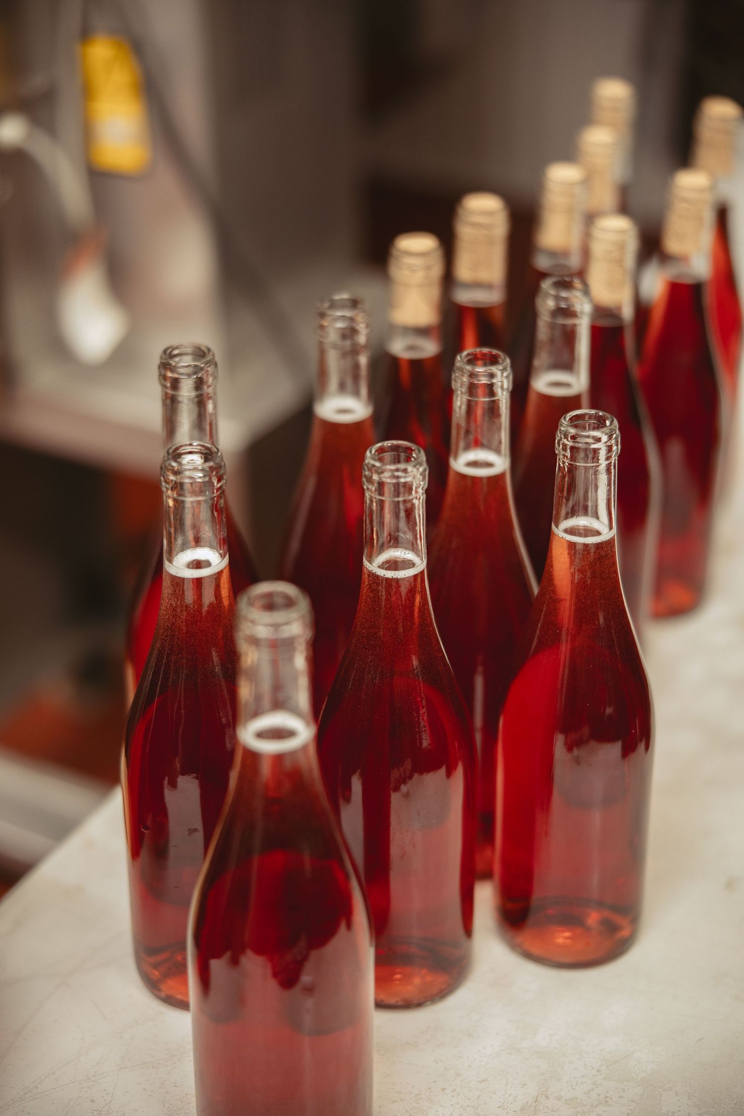 Collection of rose wine bottles arranged on white surface.