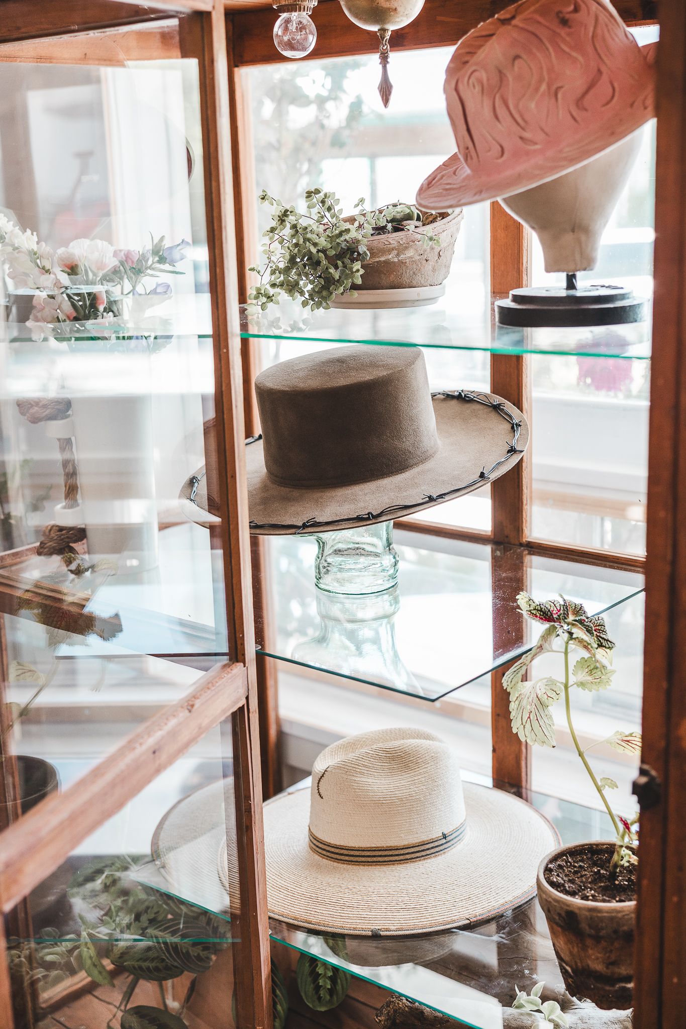 Une vitrine d’exposition vintage, avec des étagères en verre mettant en valeur divers chapeaux et de petites plantes en pot