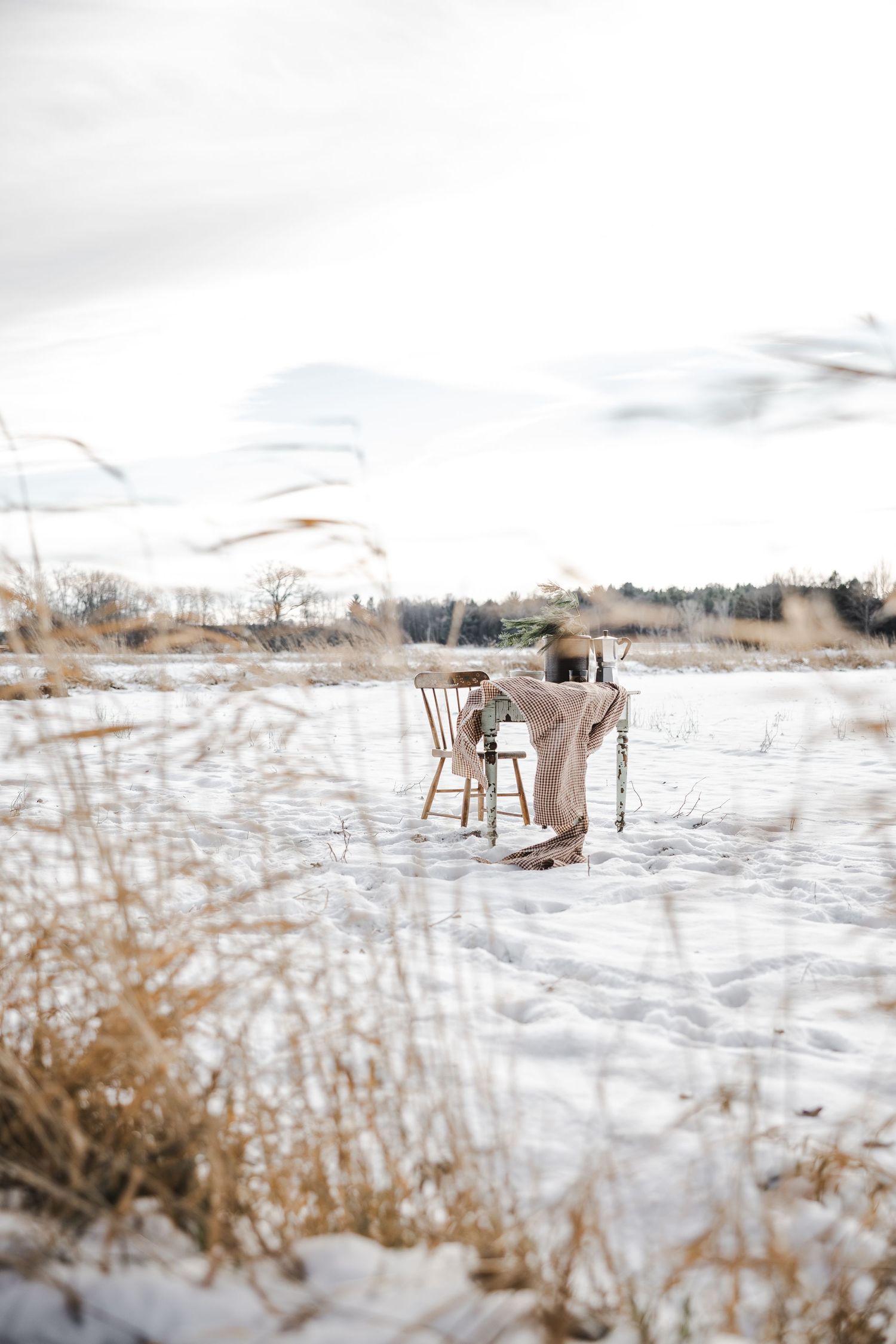 A snowy winter landscape with dried grass and plants poking through the white ground on a cloudy day.