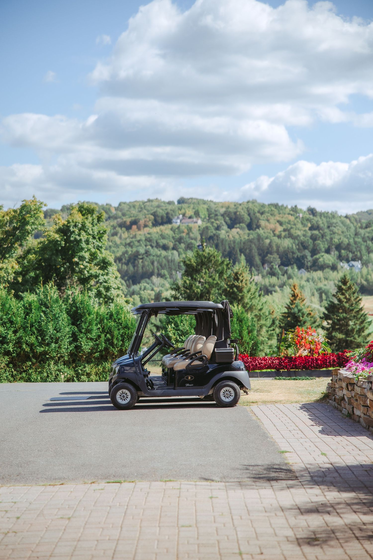 A black vintage car parked on a paved driveway overlooking a scenic mountain landscape with lush green trees and flowers.