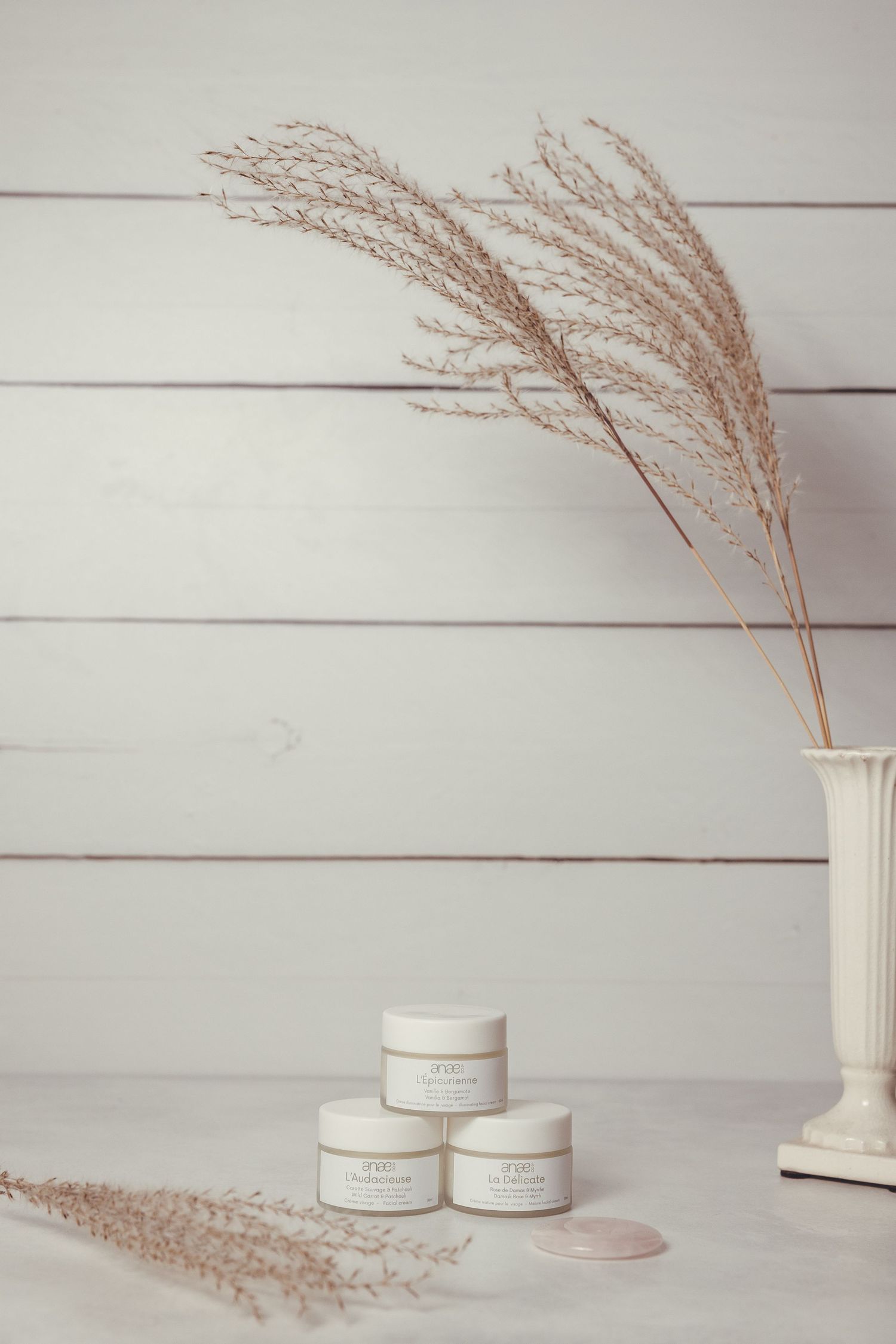 Minimalist arrangement of dried pampas grass in white vases against a light gray background.