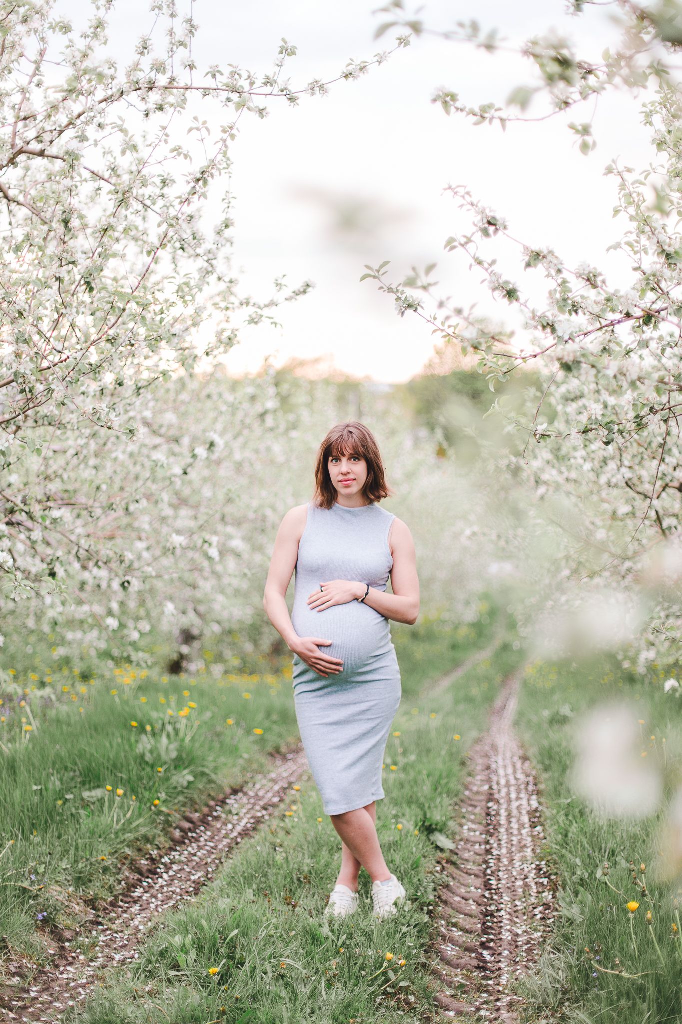 Séance maternité à Bromont : femme enceinte dans verger printanier avec fleurs de cerisier blanches, capturée pour moments doux et naturels