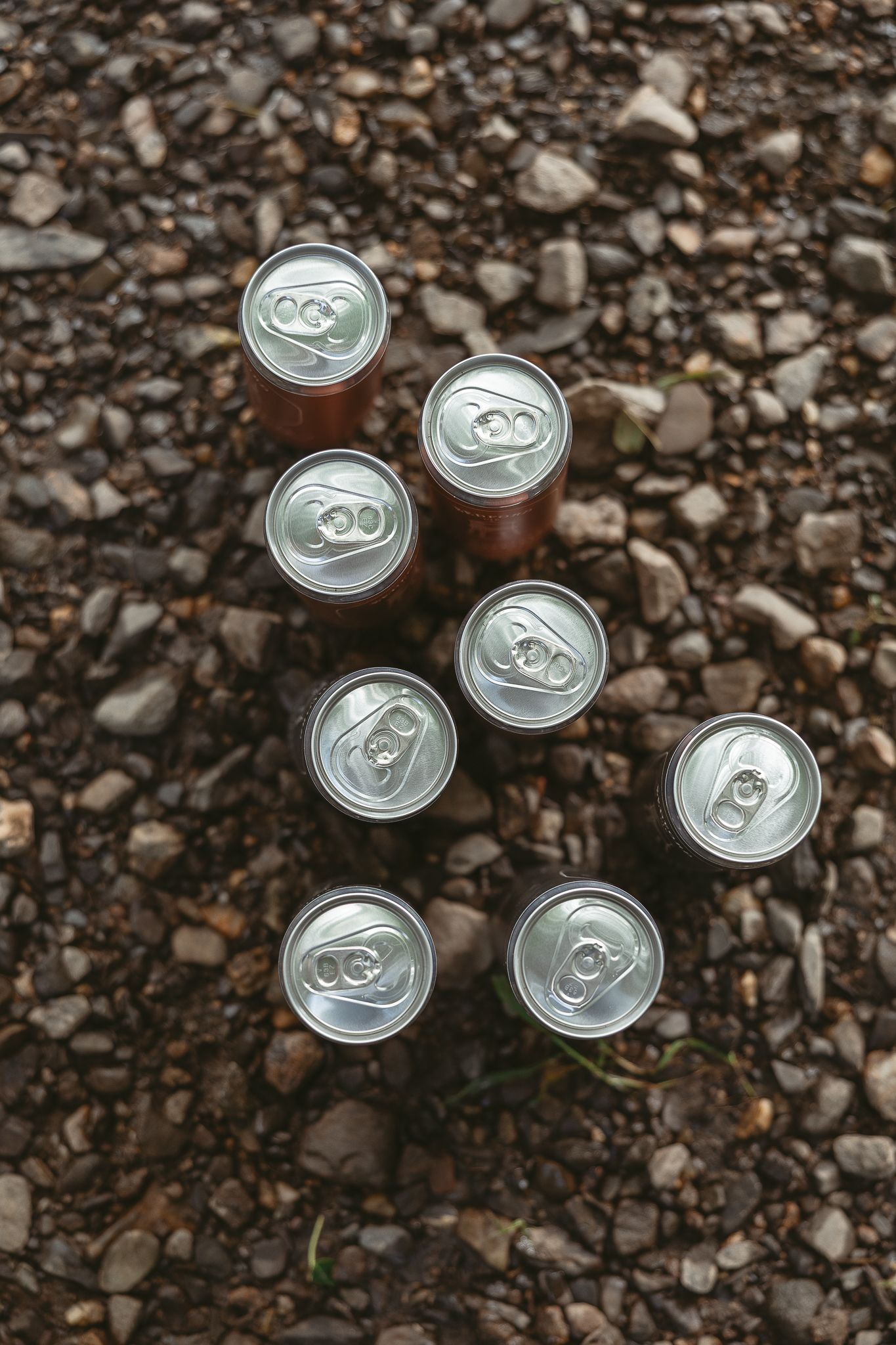 oissons en canettes Bedford tenues devant herbes hautes, éclairage naturel doux, pour une image produit lumineuse et naturelle en Estrie