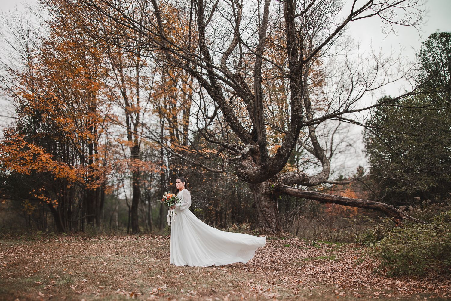 Une séance photo de mariage automnale et romantique dans un décor forestier rustique, avec des feuilles tombées au sol et des arbres dénudés
