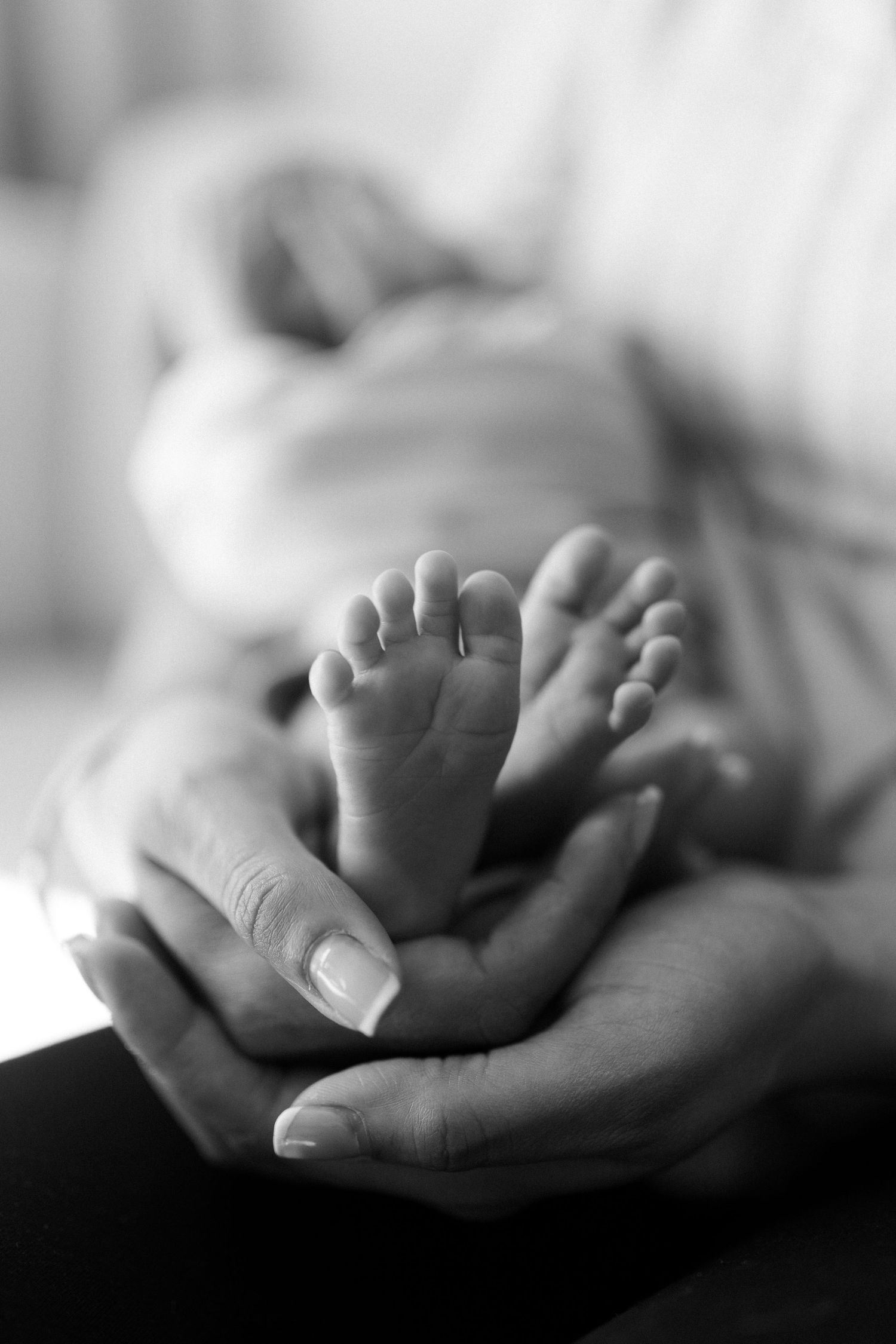 Close-up black and white images of tiny baby feet being gently held.