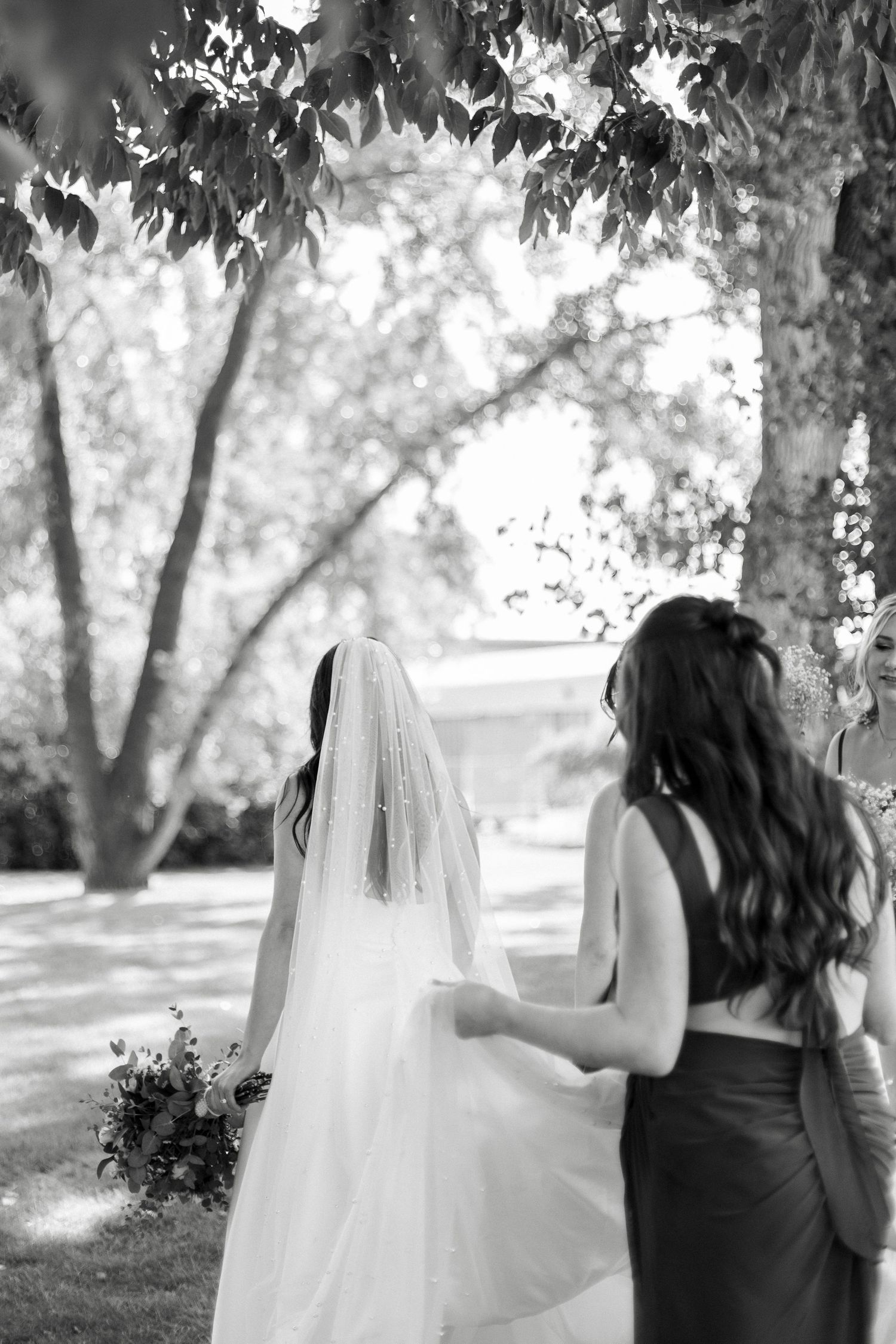Wedding couple photographed from behind walking through a sunlit garden with trees.
