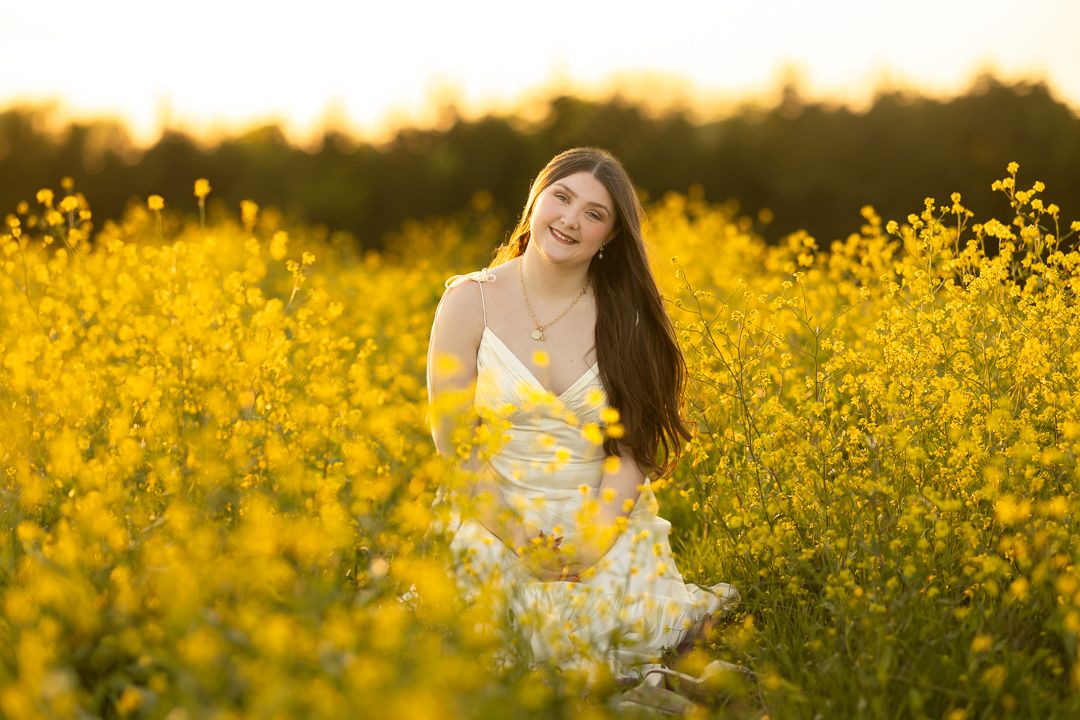 A golden field of blooming canola flowers glows warmly during sunset creating a dreamy natural backdrop.