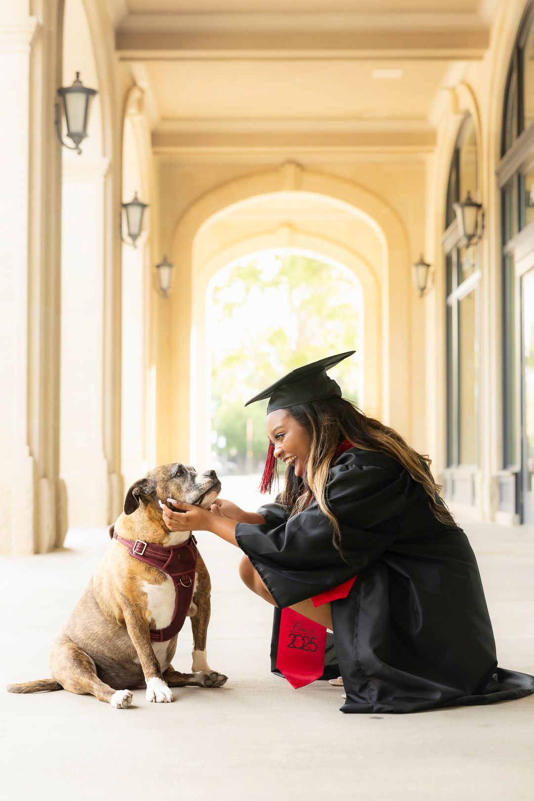 Graduate in black cap and gown poses with bulldog on cream-colored colonnade.