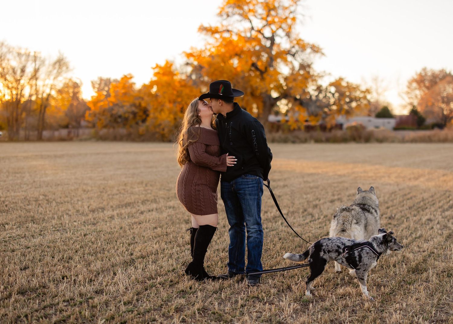 Couple kissing in autumn field with dogs on leash, golden trees backdrop, maternity photo shoot.