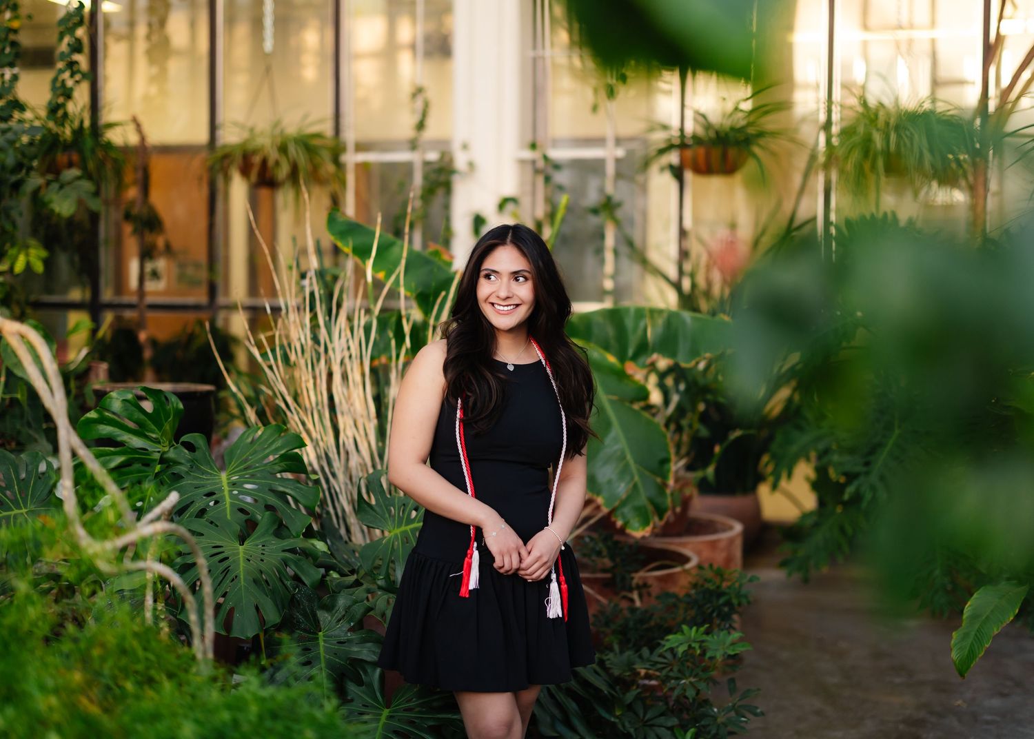 Indoor greenhouse setting with tropical plants and natural lighting for portrait photography.