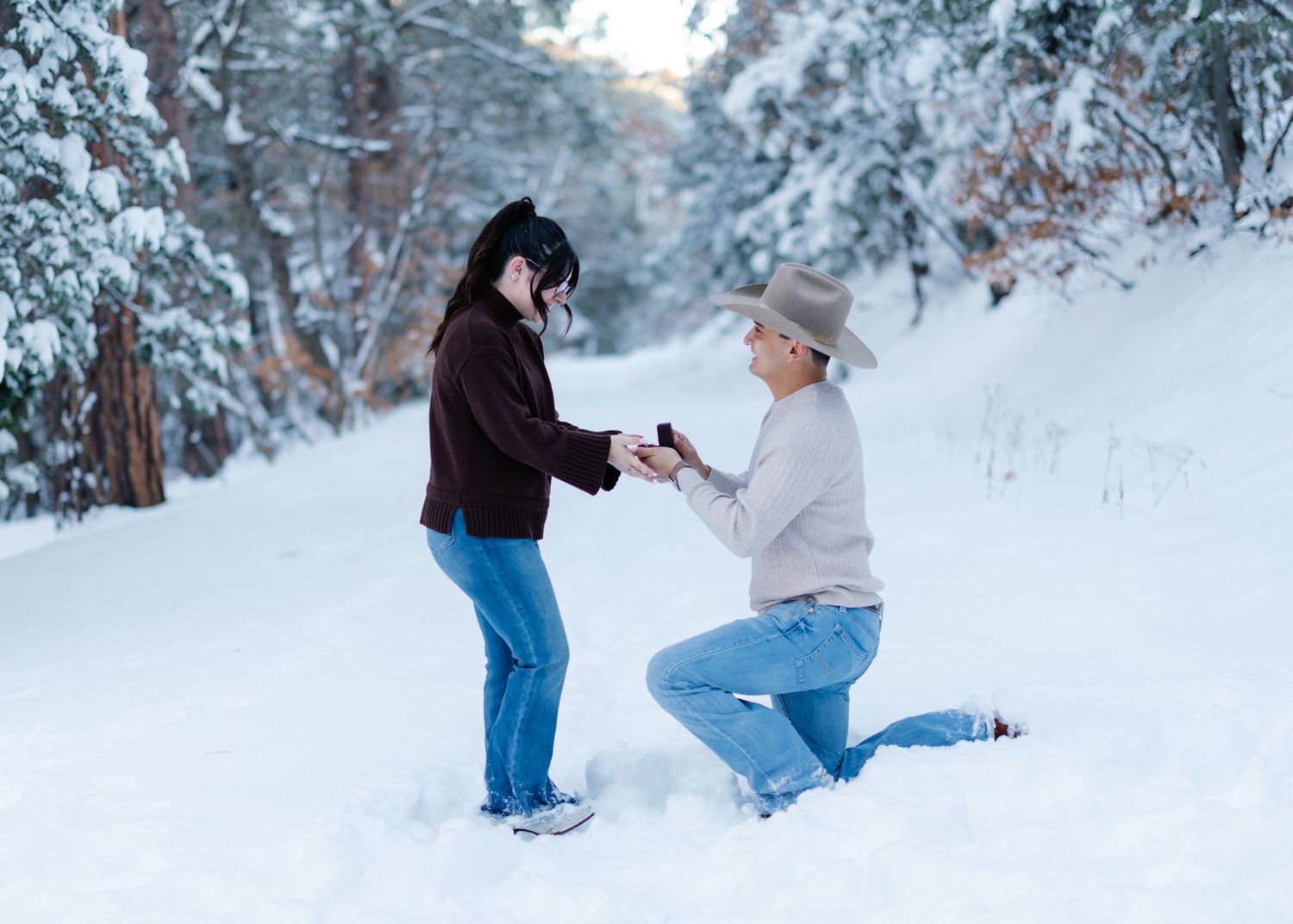 Person proposing on one knee in snowy winter forest, holding ring box for partner, romantic outdoor marriage proposal scene.