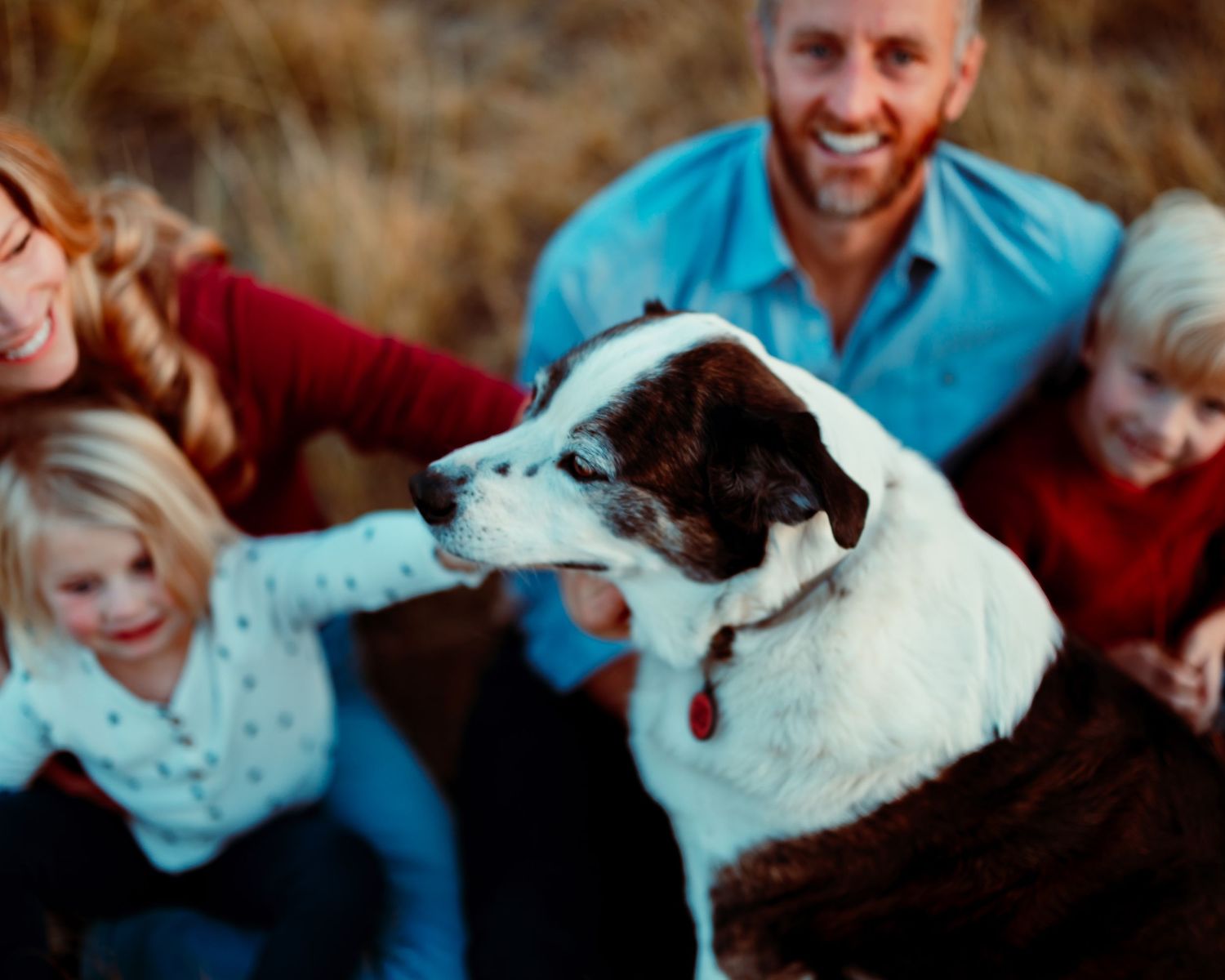 Happy family and their white dog share joyful moments in an outdoor setting.