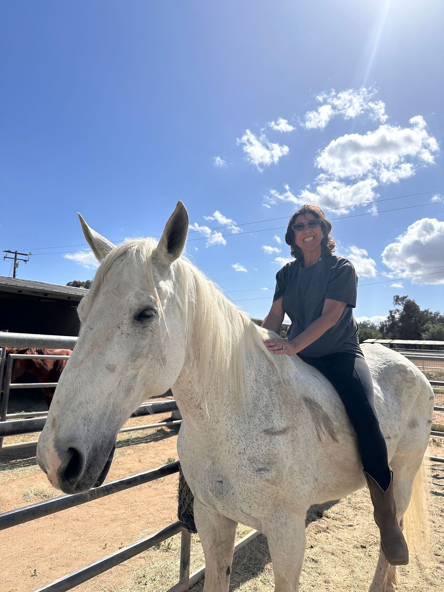 lady on horse