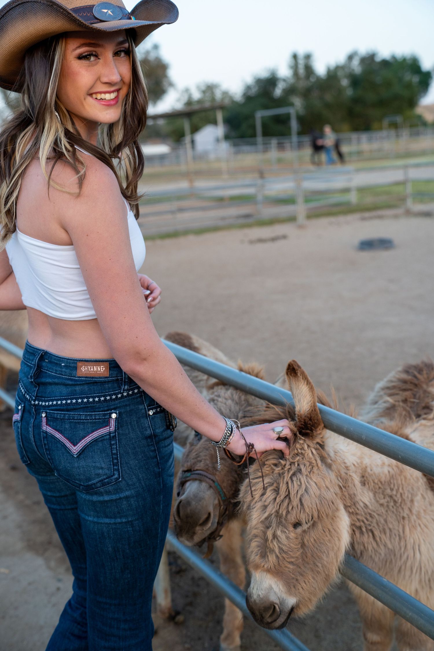 Person in baseball cap and jeans pets miniature donkeys through metal fence at farm.