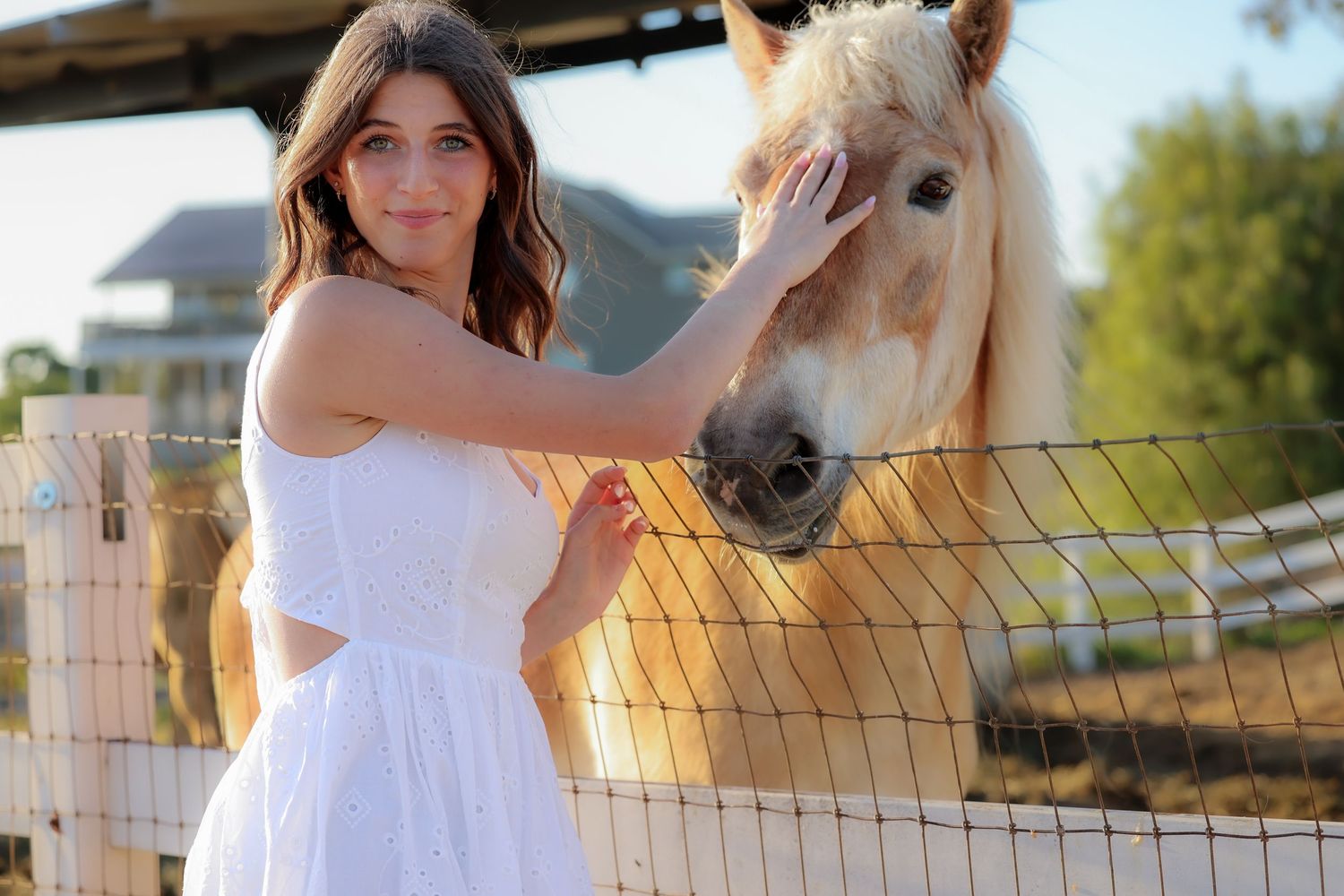 A person in a white dress stands by a wooden fence petting a majestic white horse at sunset.