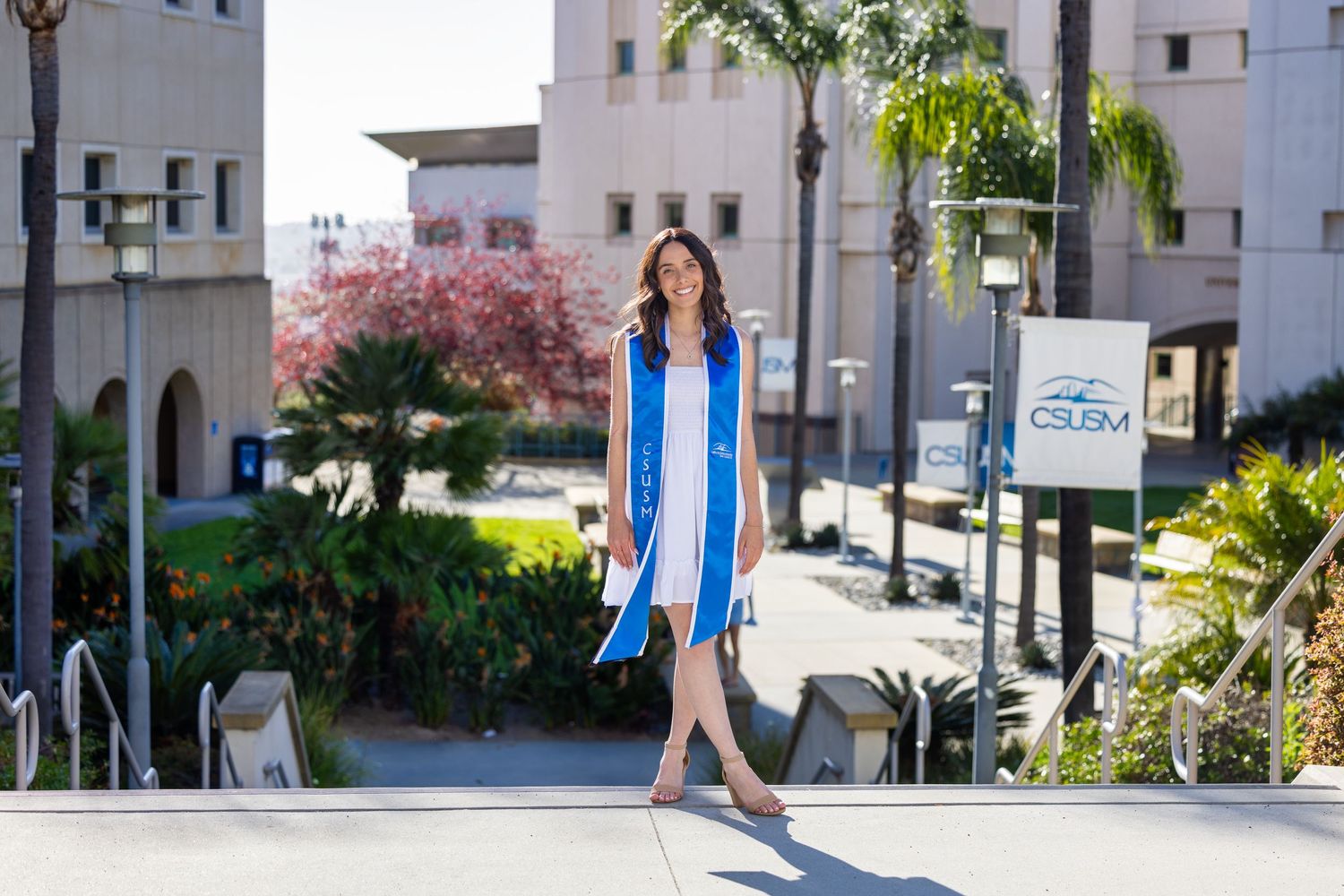 A person walks past a modern apartment building with palm trees and pink flowering trees along the sidewalk.