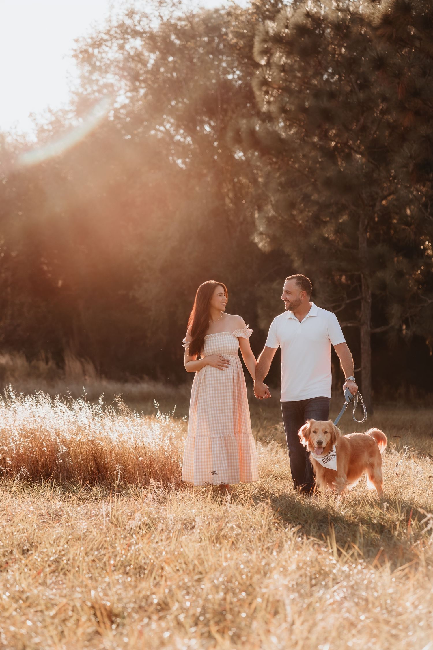 Happy couple with golden retriever walking in sunny field, pregnant woman in pink dress.