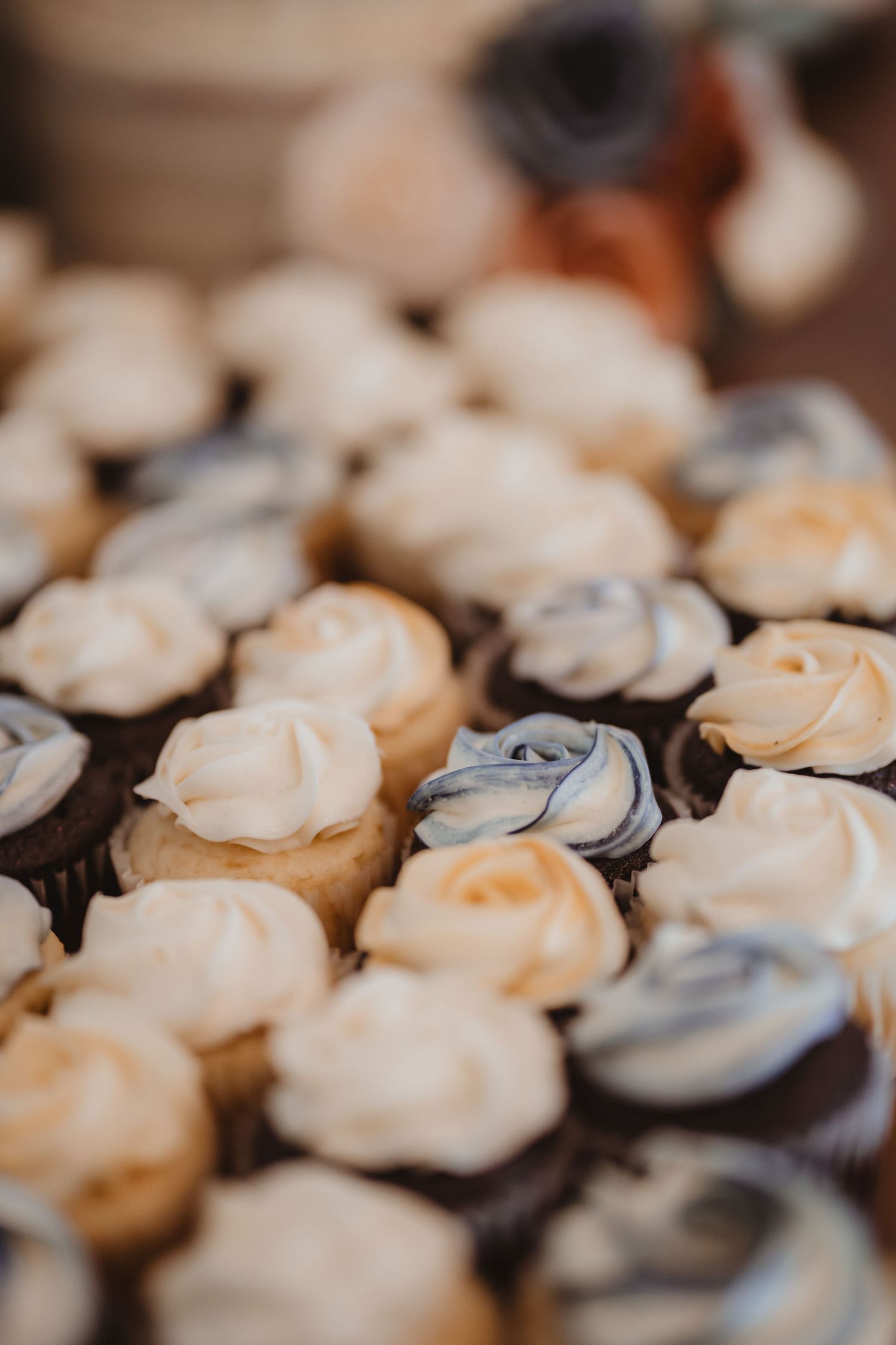 Close-up of chocolate wedding cupcakes with swirled cream and blue-gray frosting roses.
