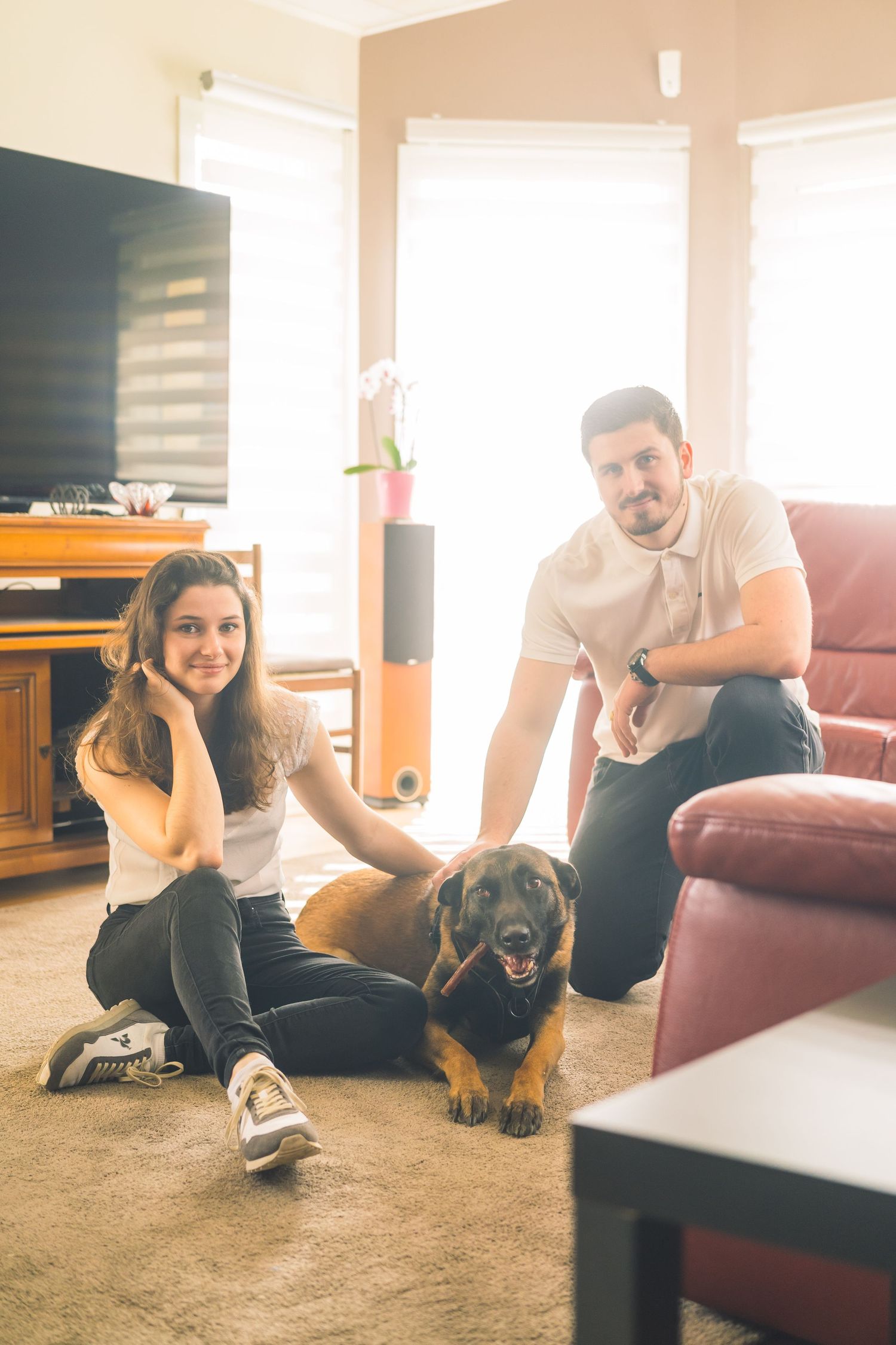 couple photo  posant devant l'objectif pour la première fois garder un souvenir avec photographe professionnel avec leur chien et animaux
