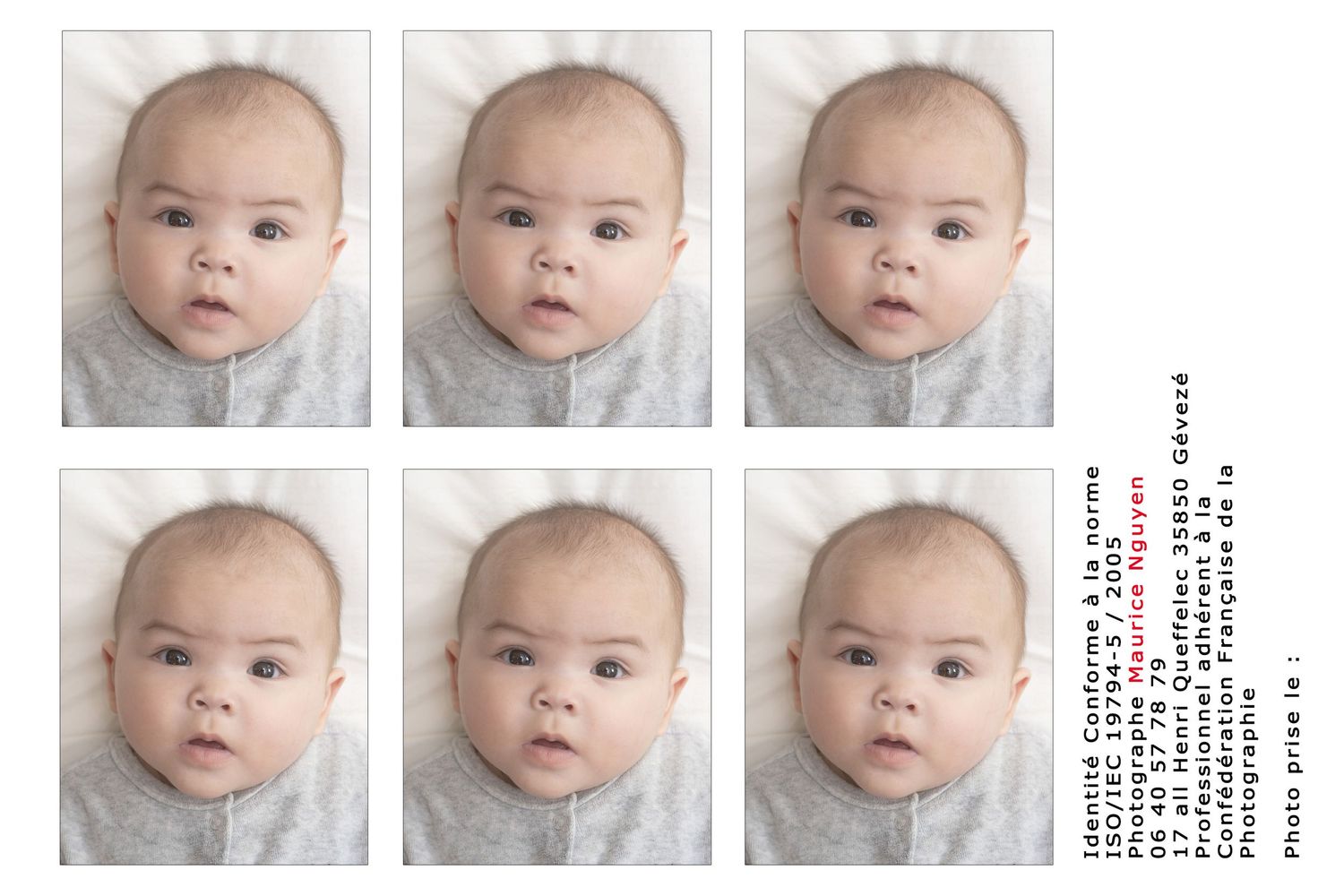 photographie de bébé, nourrissons, en studio. Passeport et carte d'identité