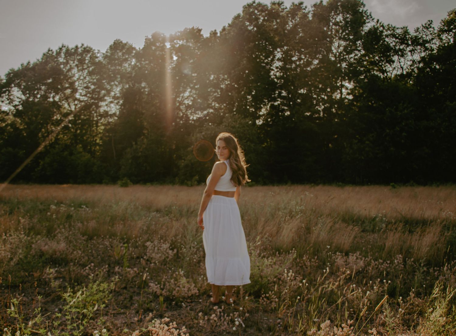 Ethereal sunset scene in a wildflower meadow with golden light filtering through trees.