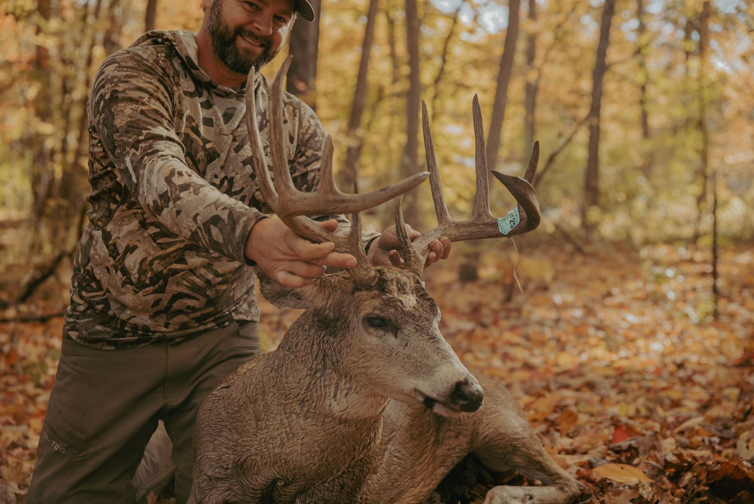 Hunter in autumn forest kneels beside harvested whitetail deer buck with large antlers on ground covered in fallen leaves.