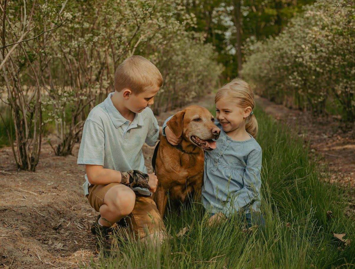 Children and golden retriever dog playing together in blooming spring garden.