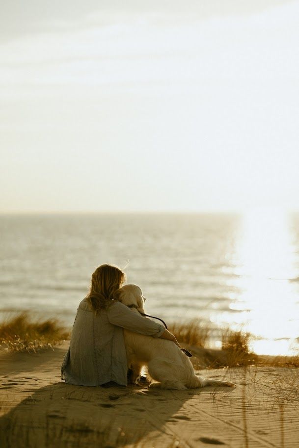 Silhouette of companions sitting together on beach dunes at sunset.