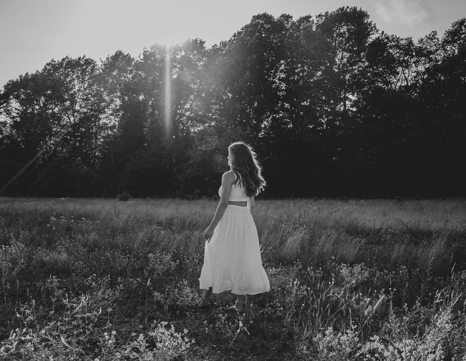 Black and white landscape of a meadow at sunset with dramatic lighting and silhouetted trees.