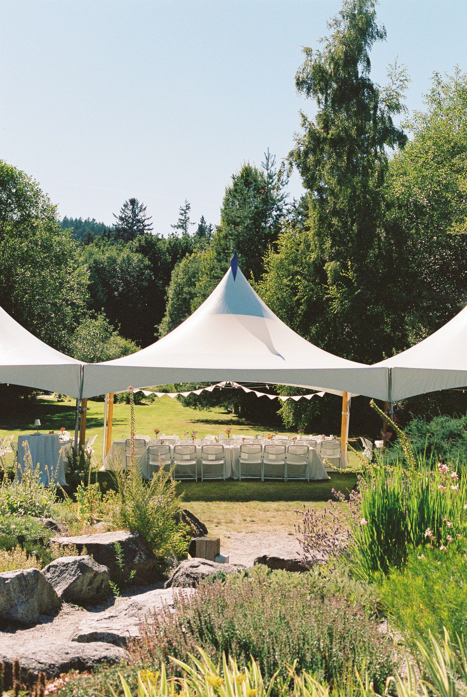 White wedding tent set up outdoors with rows of chairs for a garden ceremony, surrounded by lush green trees and plants.