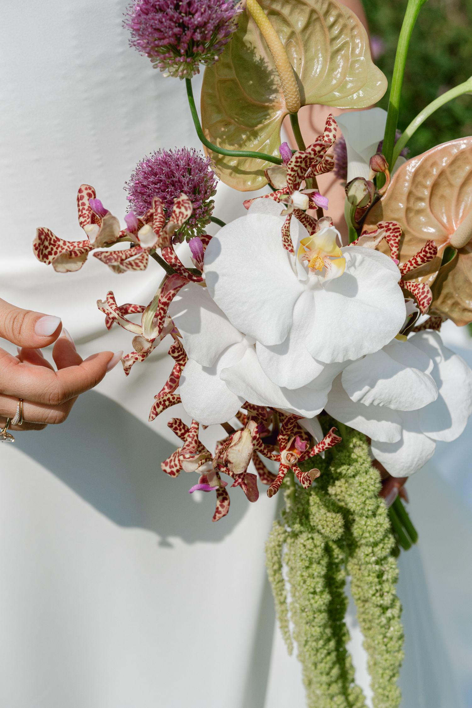 Bride holding elegant wedding bouquet with white orchid, anthurium, purple allium, and spotted orchids in soft natural light.