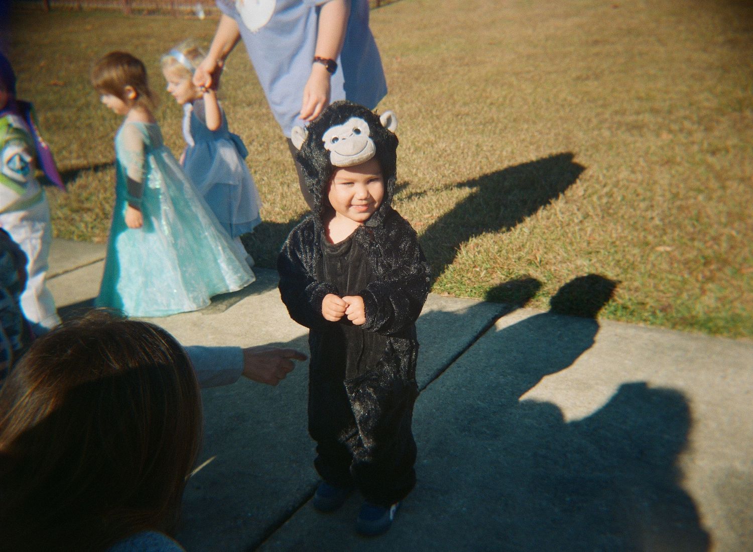 A small child wearing a black penguin costume stands outdoors on a sunny day with shadows cast on the ground.
