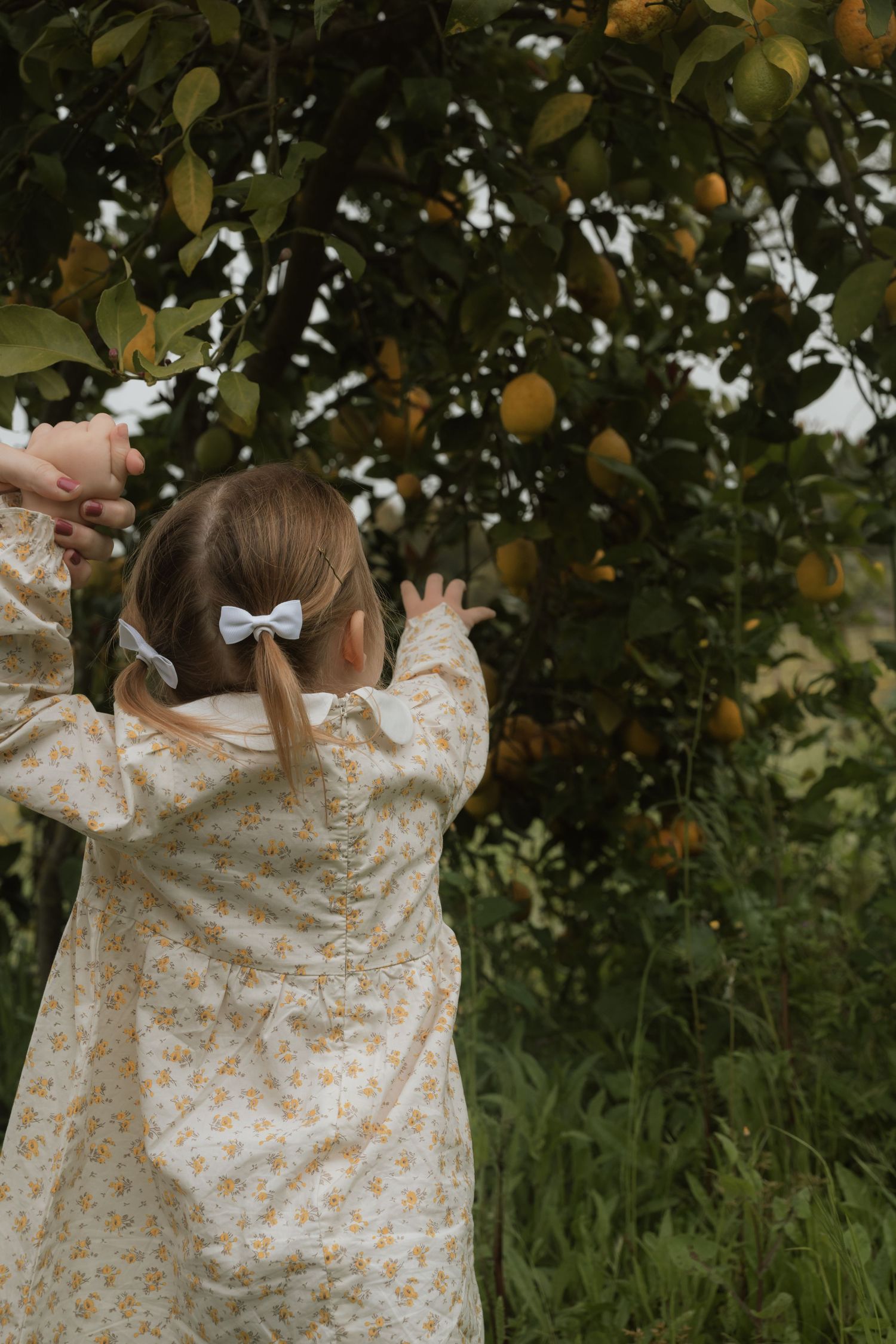 Lisbon Family Photographer, Lemon Tree, Candid Photography