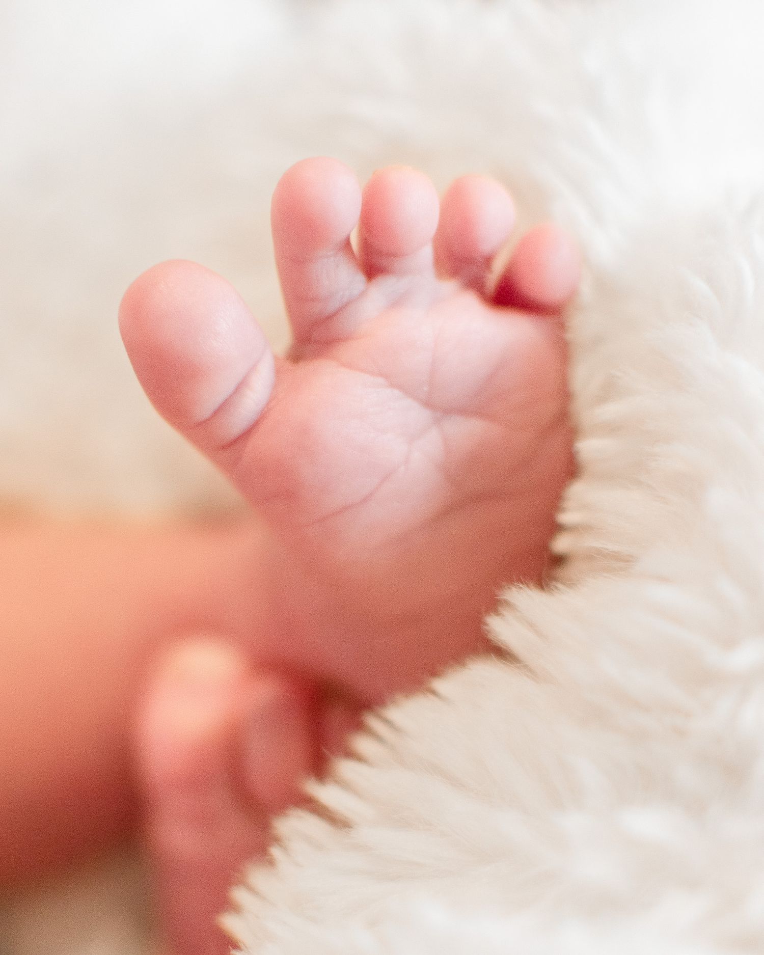 Close-up of newborn baby feet wrapped in soft blanket during session with a Belton Texas newborn photographer