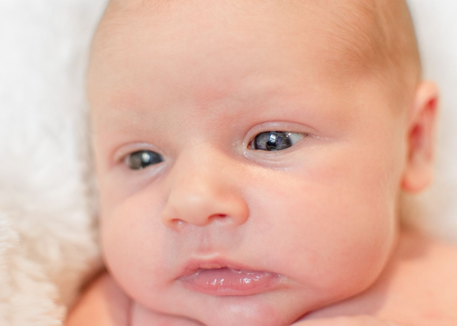 Awake newborn baby portrait during session with a Belton Texas newborn photographer