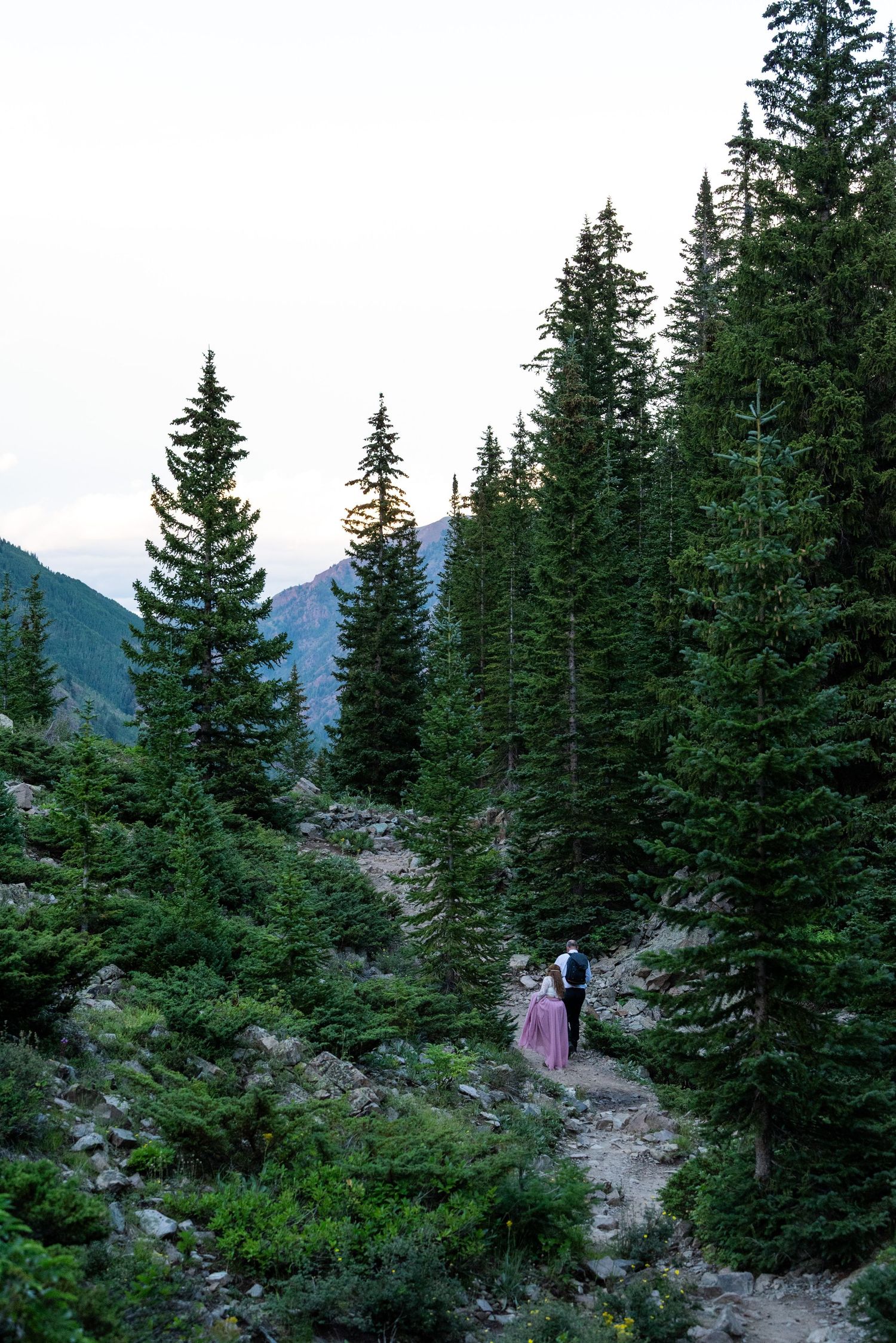 Evergreen forest trail winding through mountains with distant peaks visible through dense pine trees.