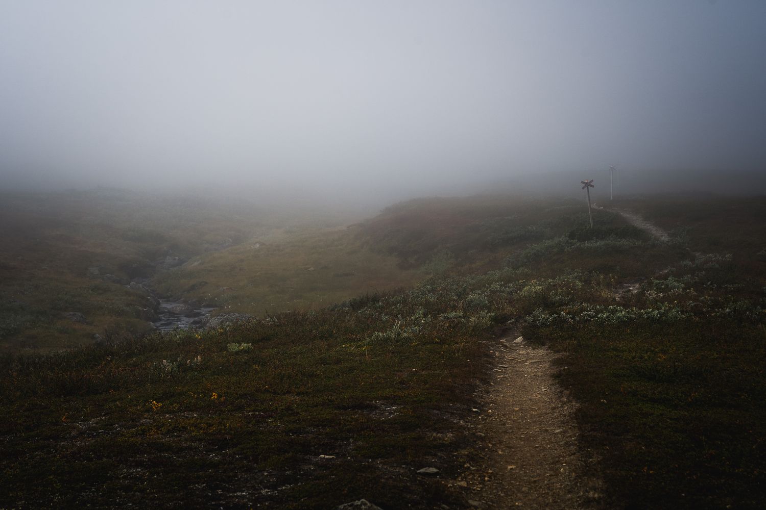 Alison De Mars, fjällvandring, solovandring, Vindelfjällen, Aigert, Ammarnäs, Kungsleden, landskapsfoto, fine art