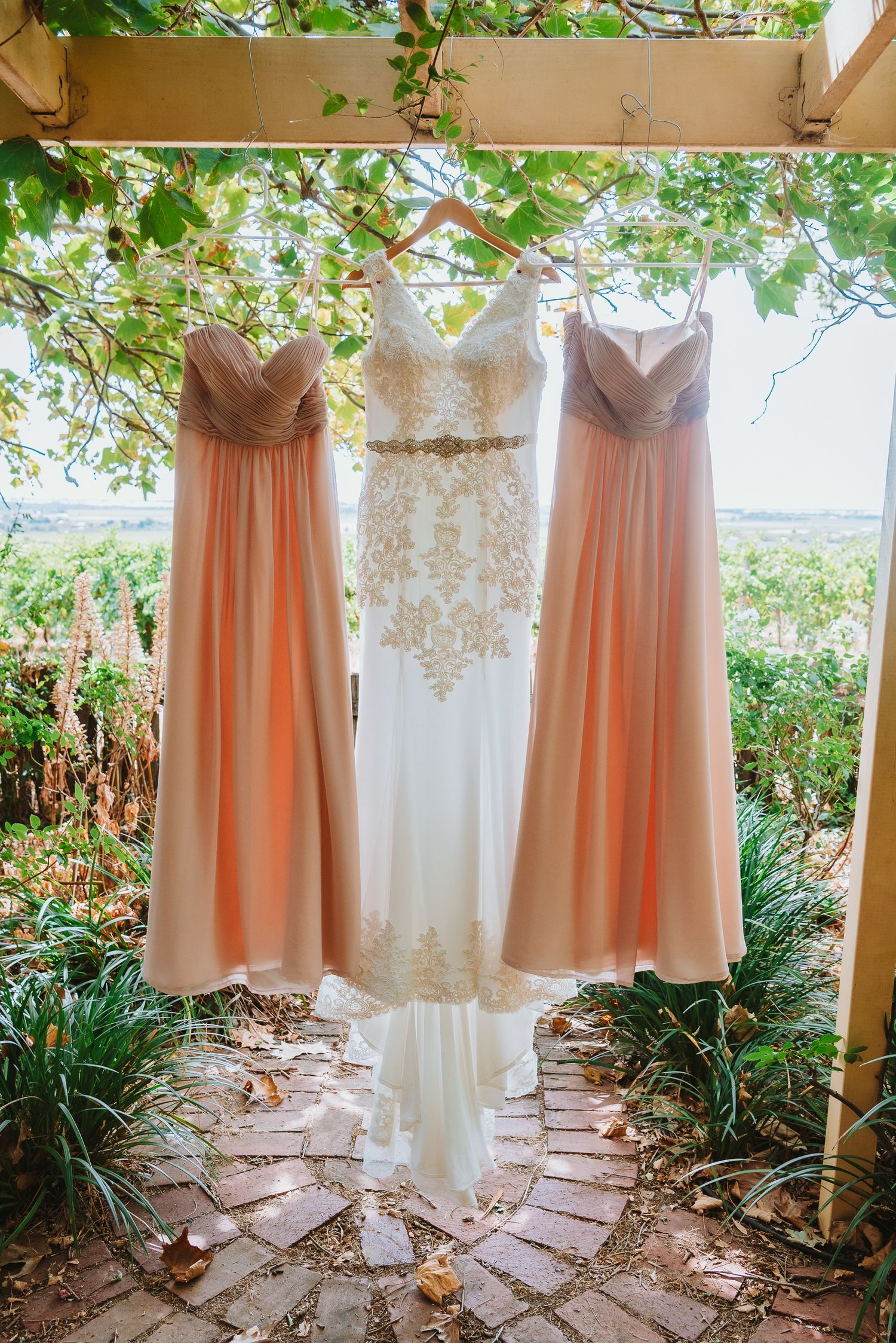 A white lace wedding dress and two peach bridesmaid dresses hanging on a garden trellis with greenery overhead.