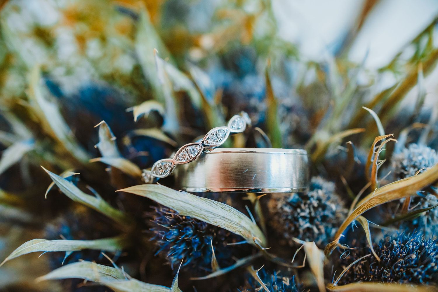 Two wedding rings displayed elegantly on blue and green botanicals in a romantic close-up macro photograph.